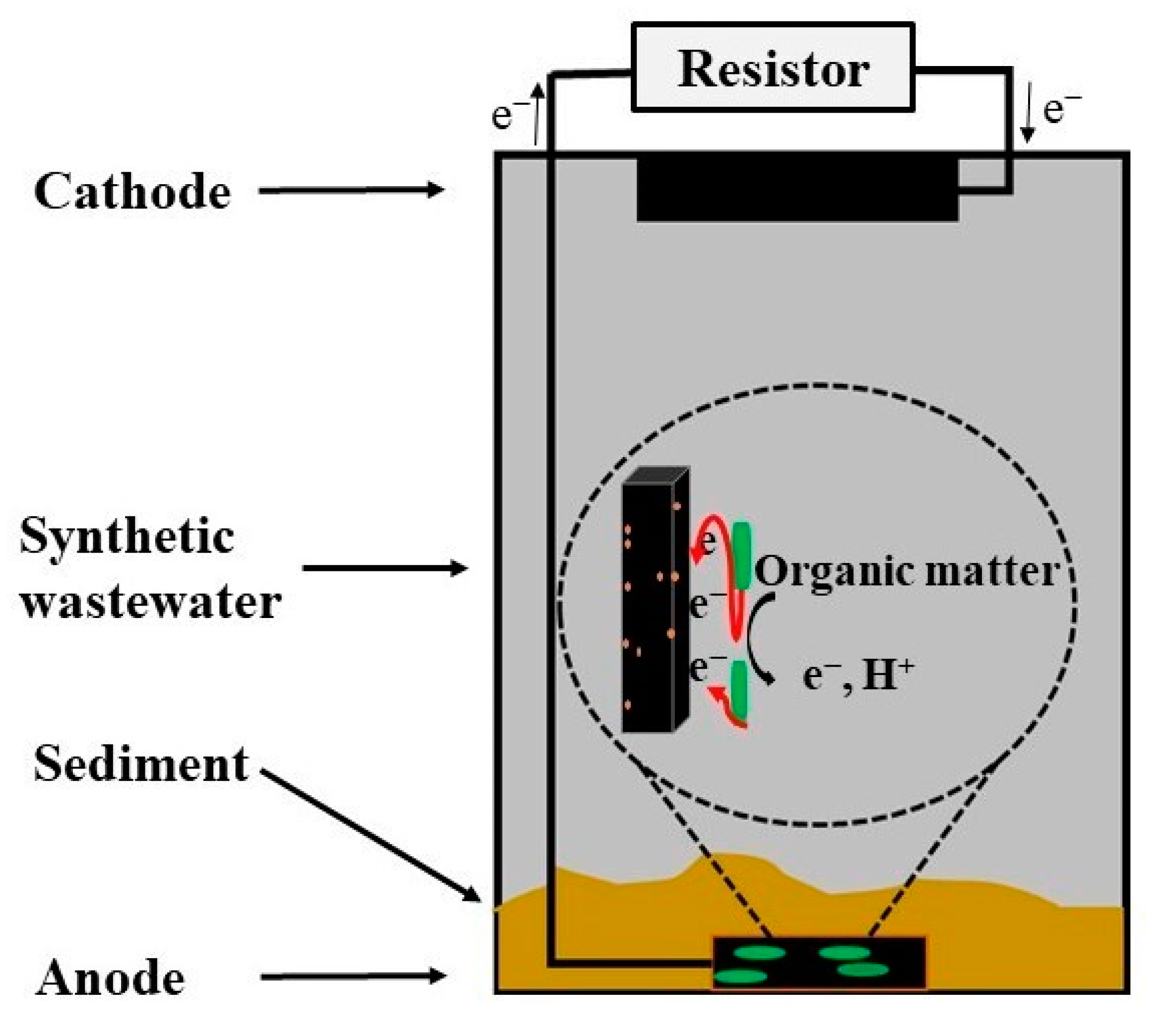 Catalysts 14 00561 g003