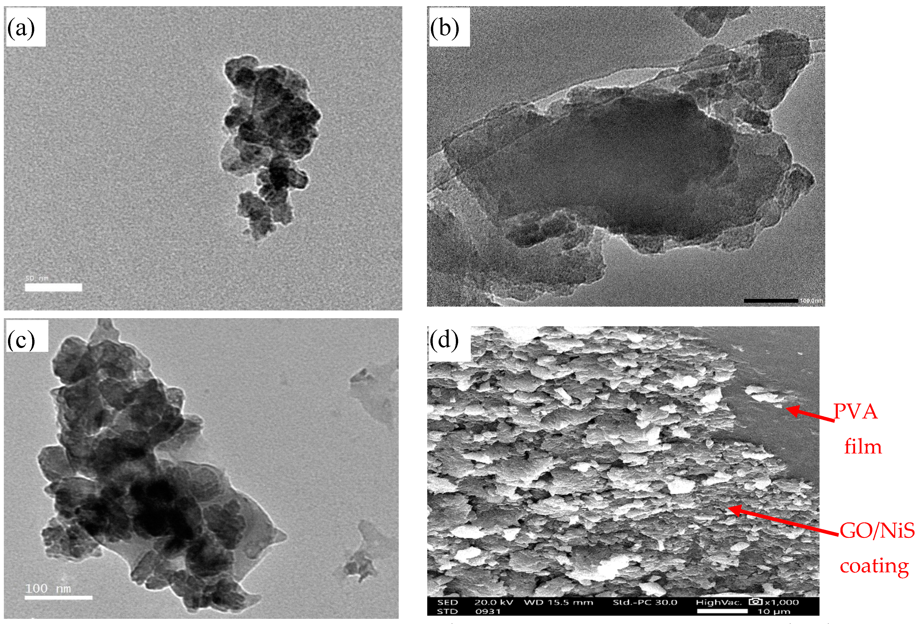 Catalysts 14 00567 g002