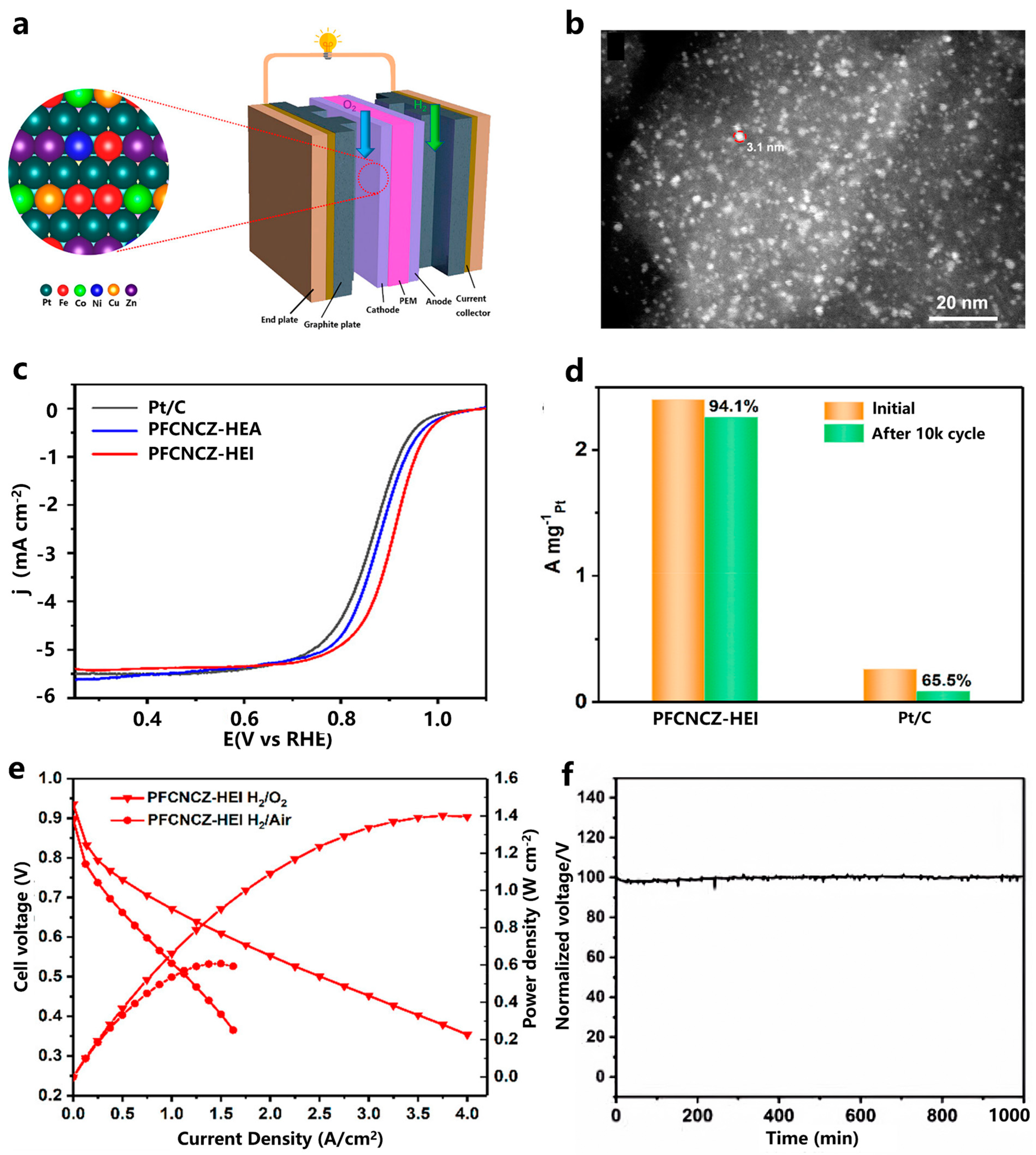Catalysts 14 00569 g005