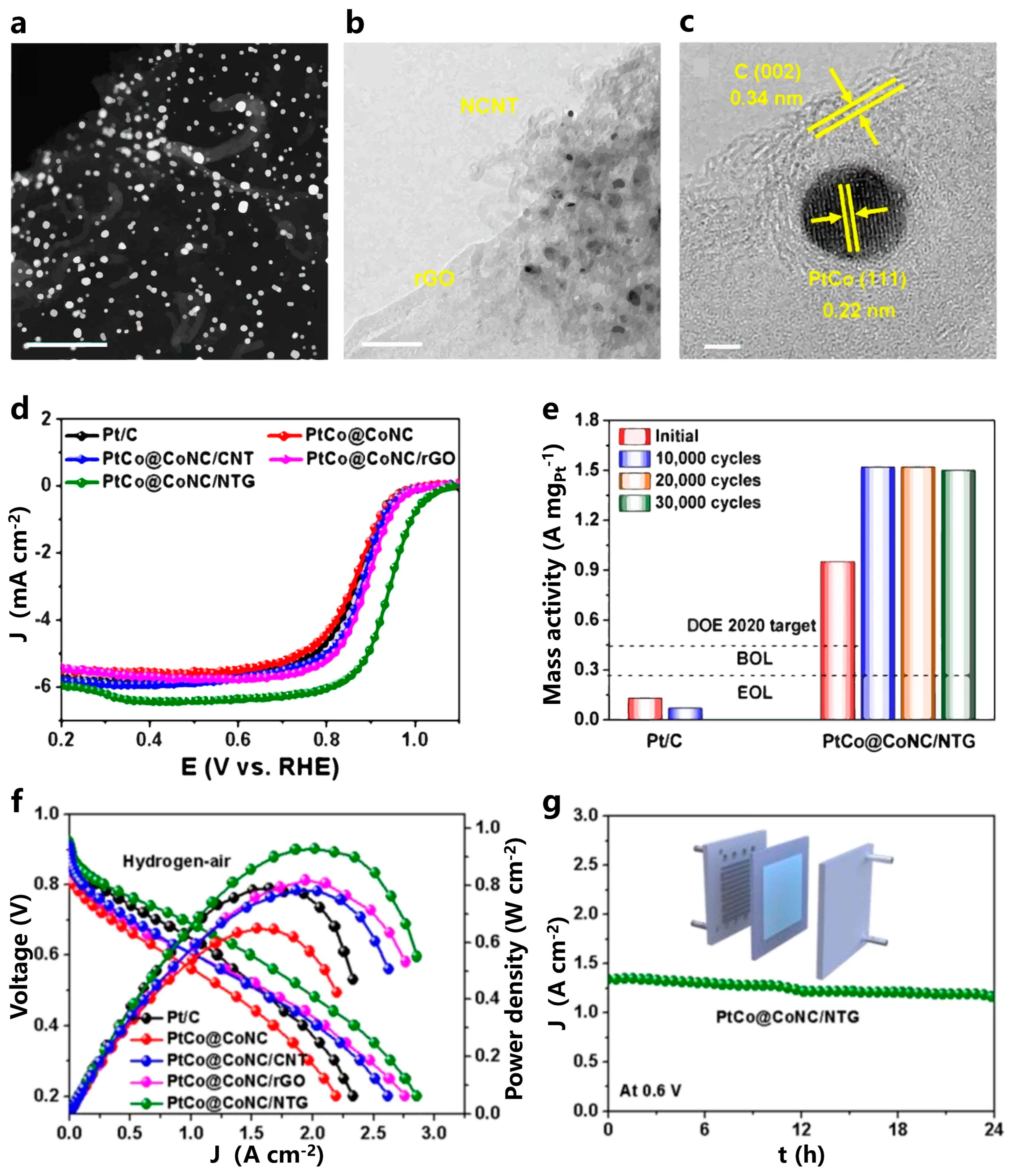 Catalysts 14 00569 g006