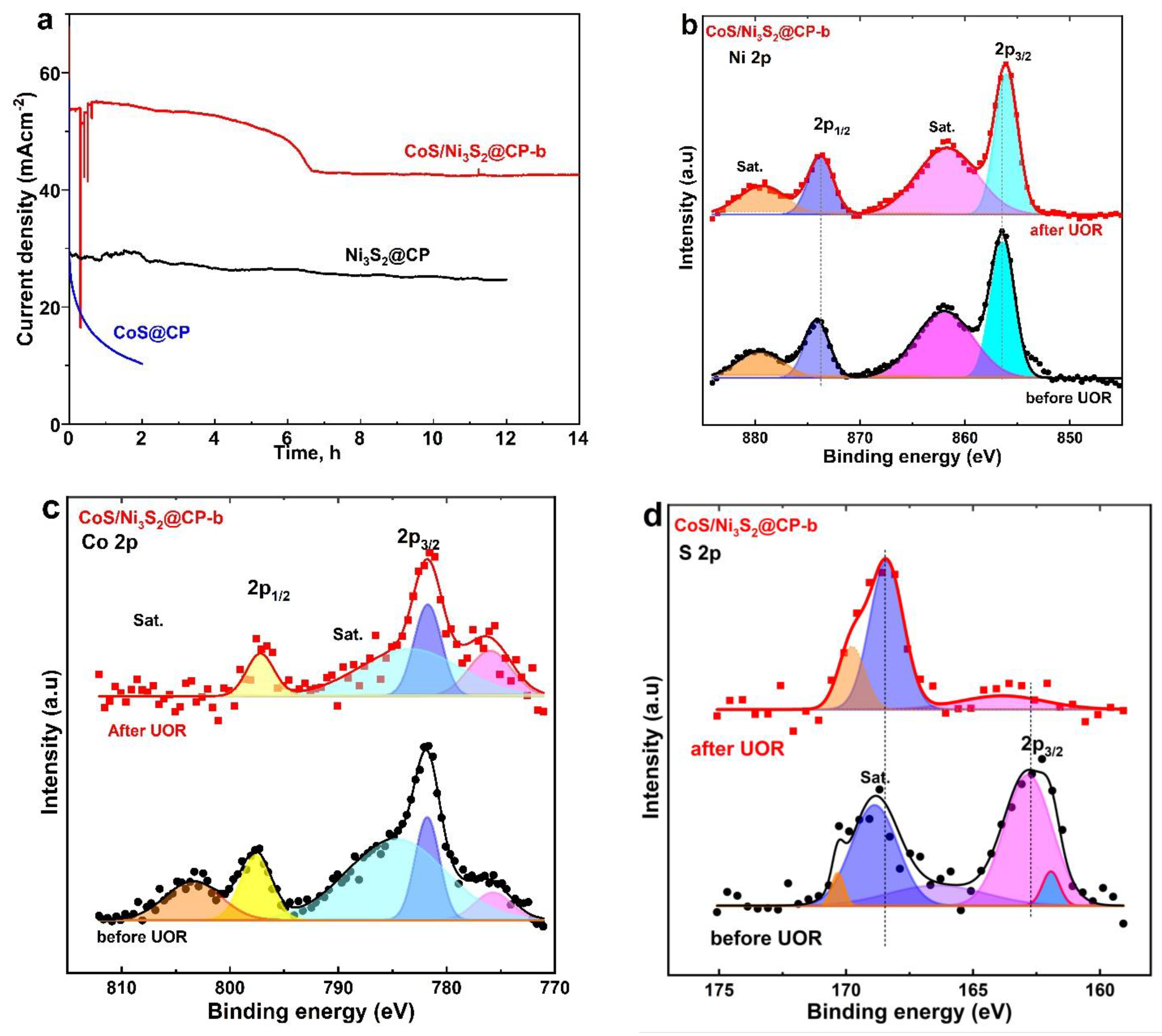 Catalysts 14 00570 g007