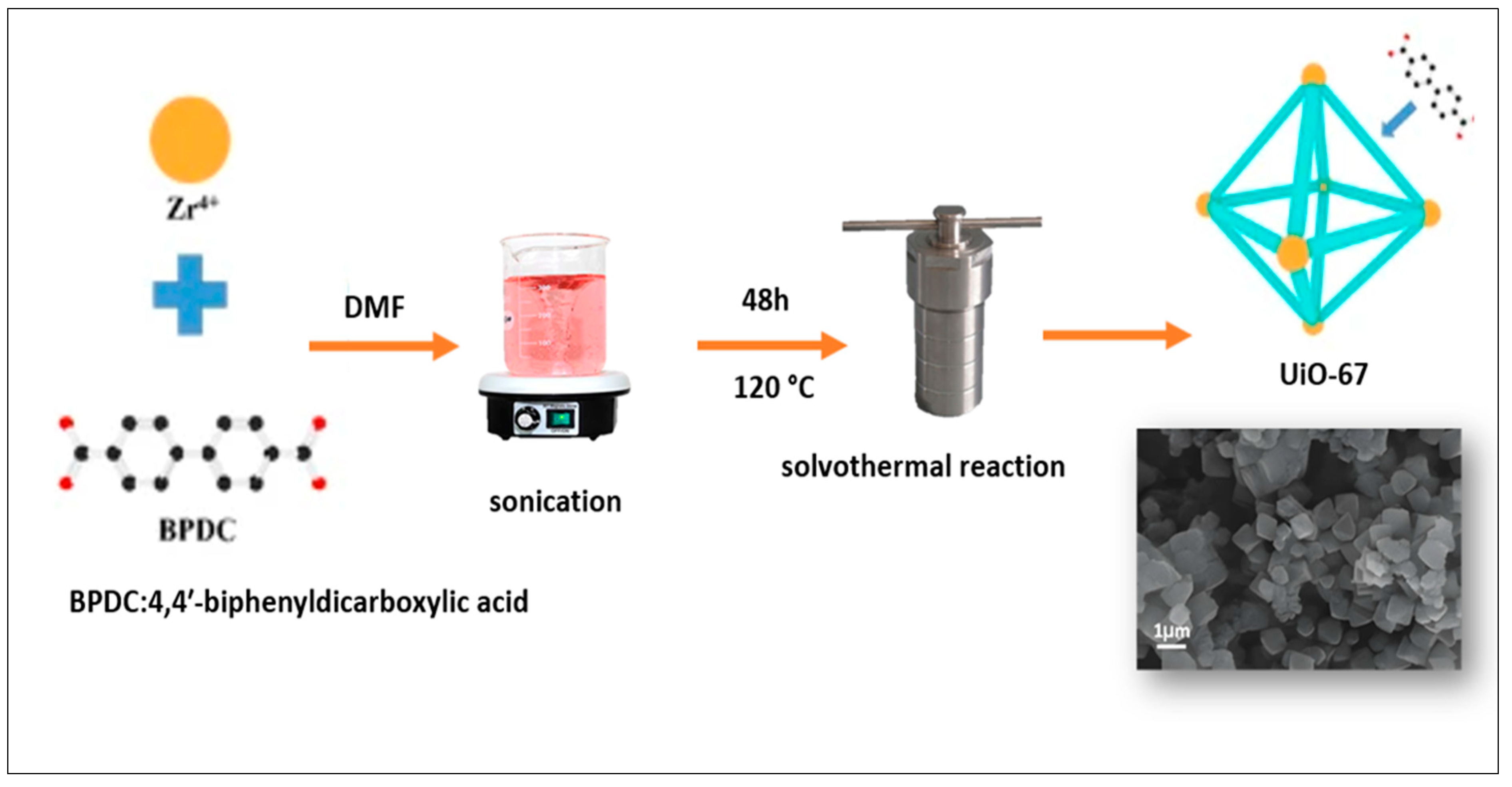 Catalysts 14 00573 sch001