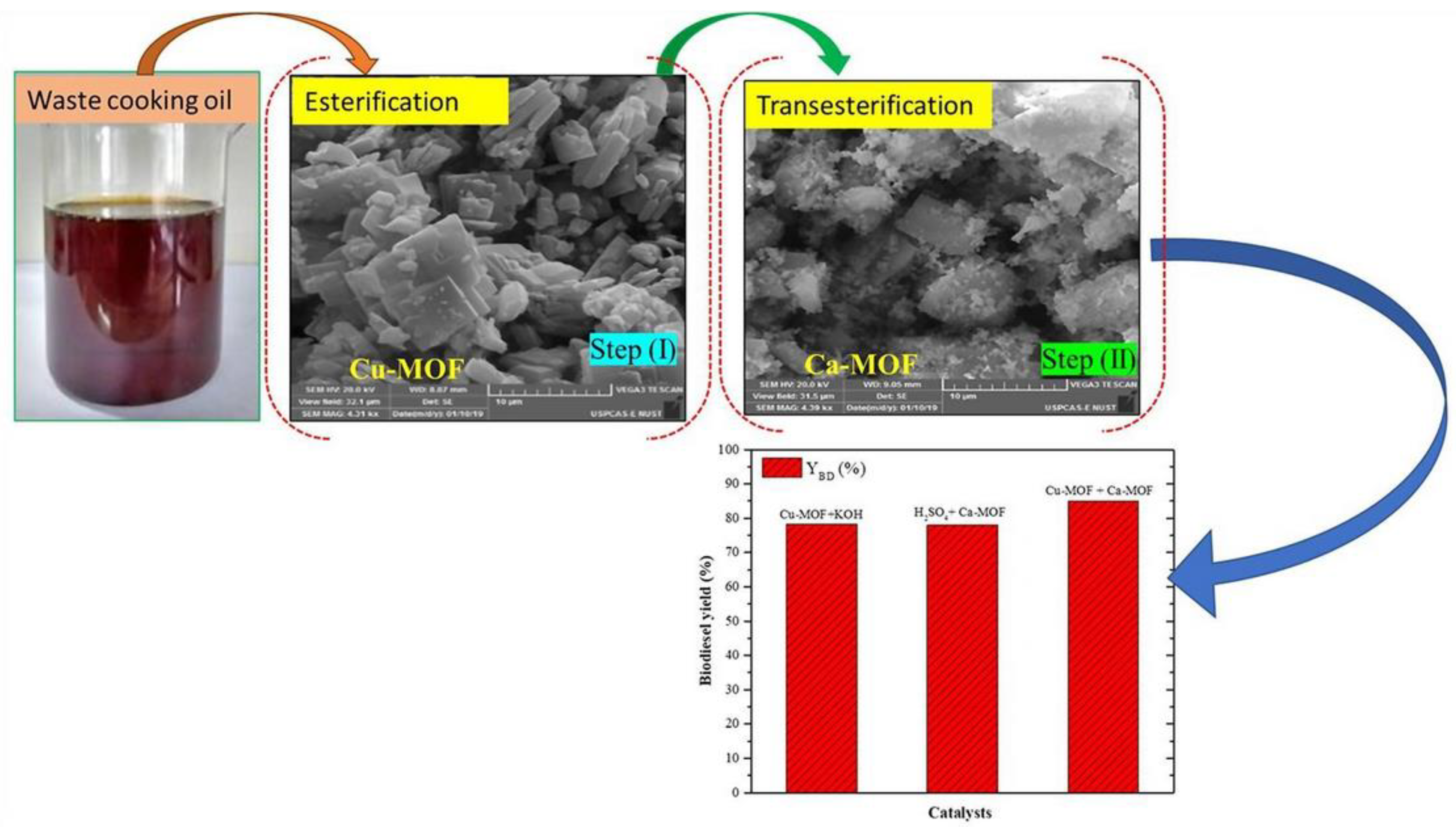 Catalysts 14 00581 g009