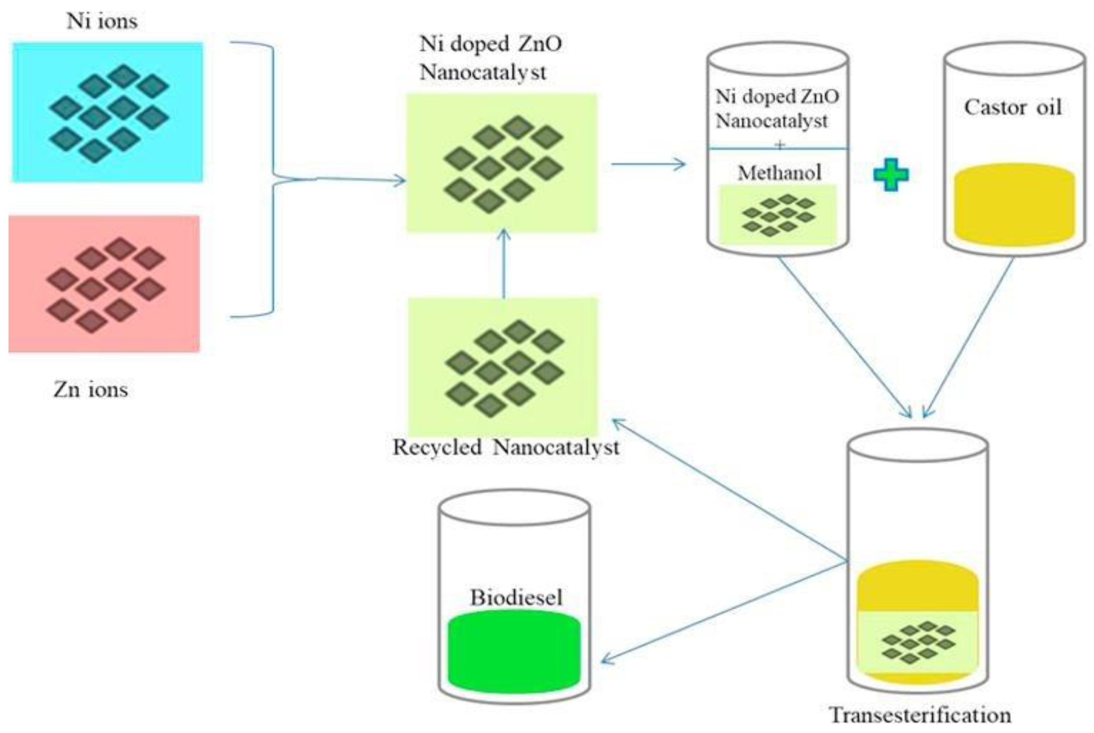 Catalysts 14 00581 g013