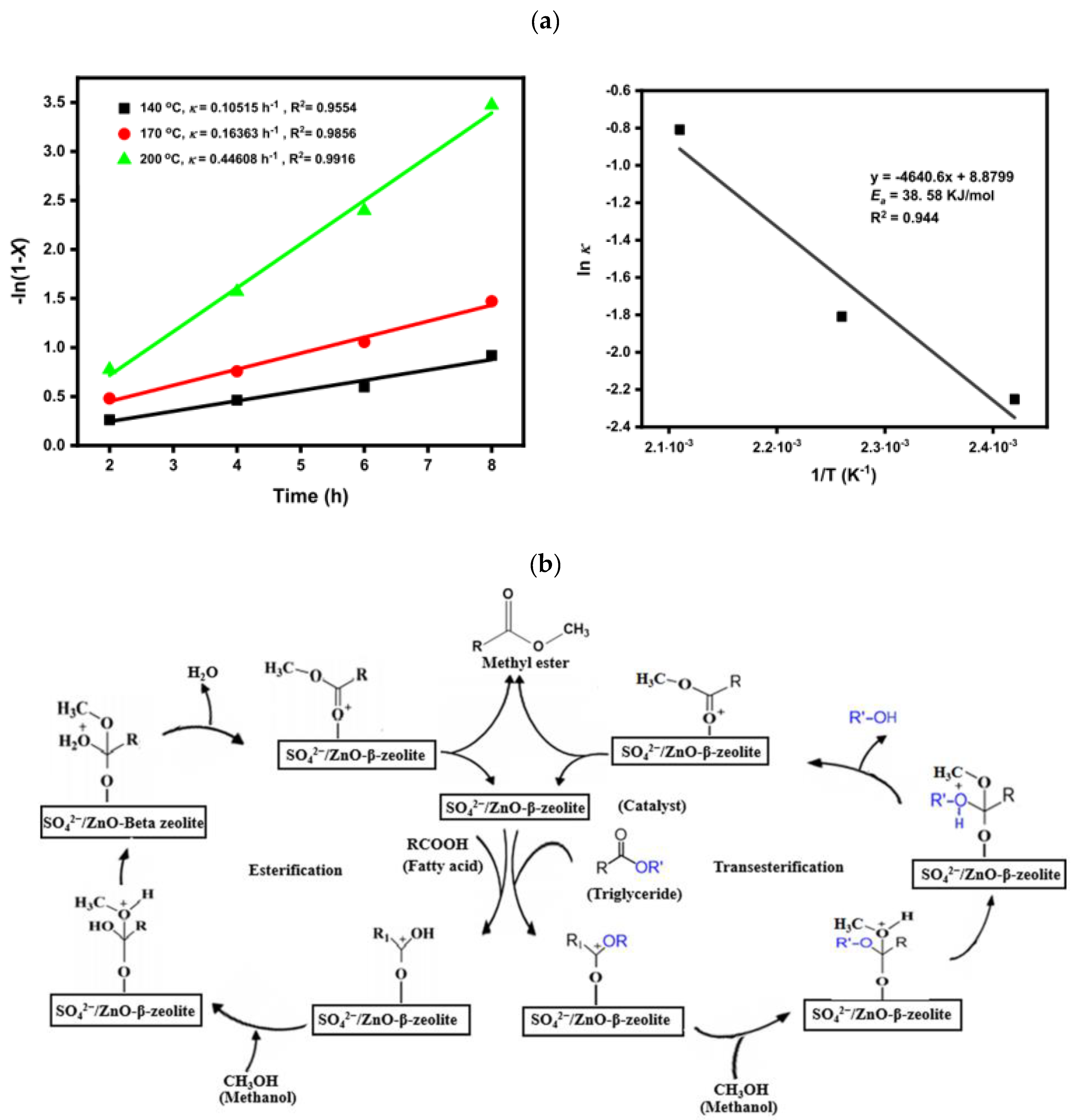 Catalysts 14 00581 g016