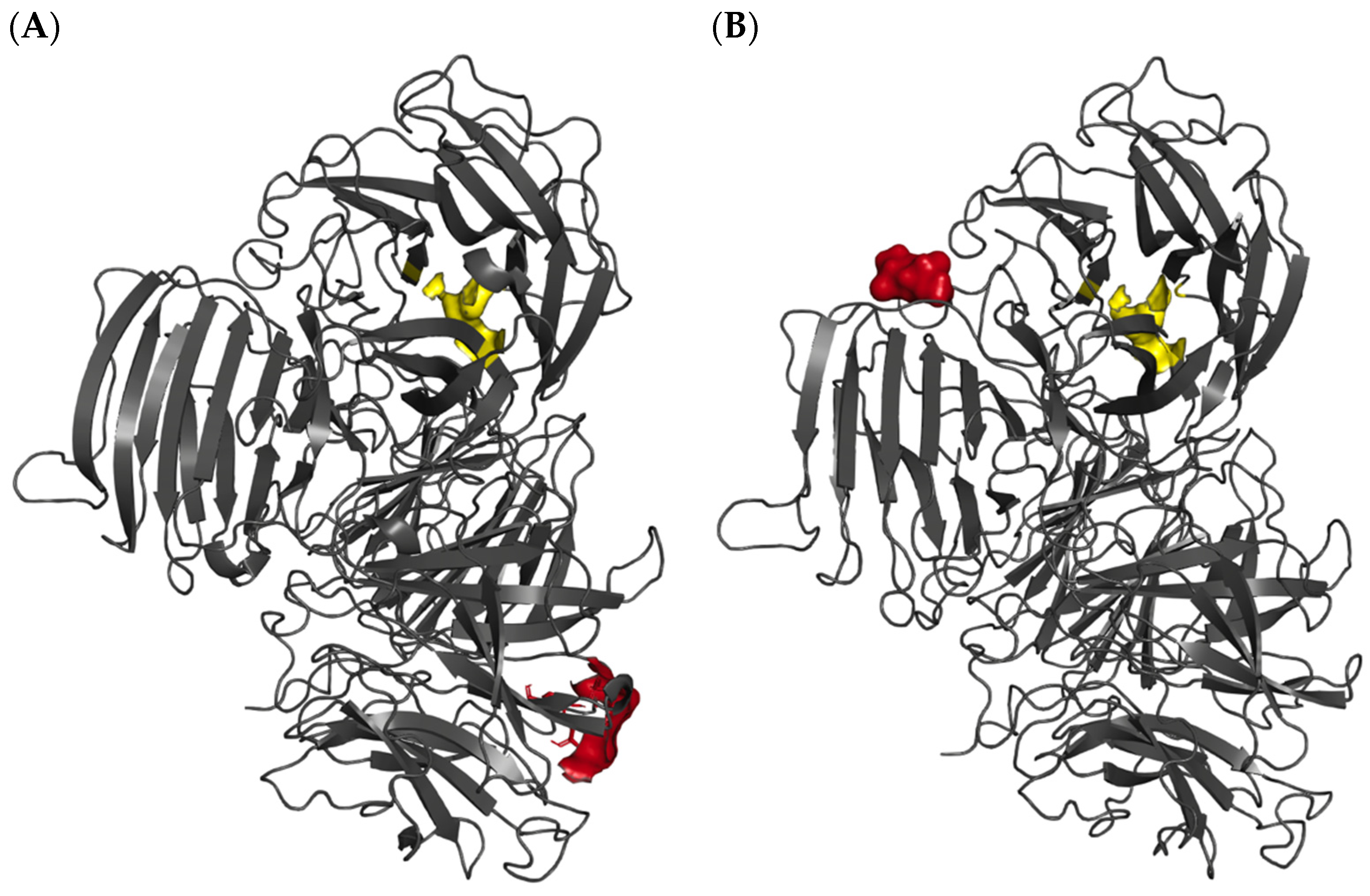 Catalysts 14 00584 g002a Catalysts 14 00584 g002a