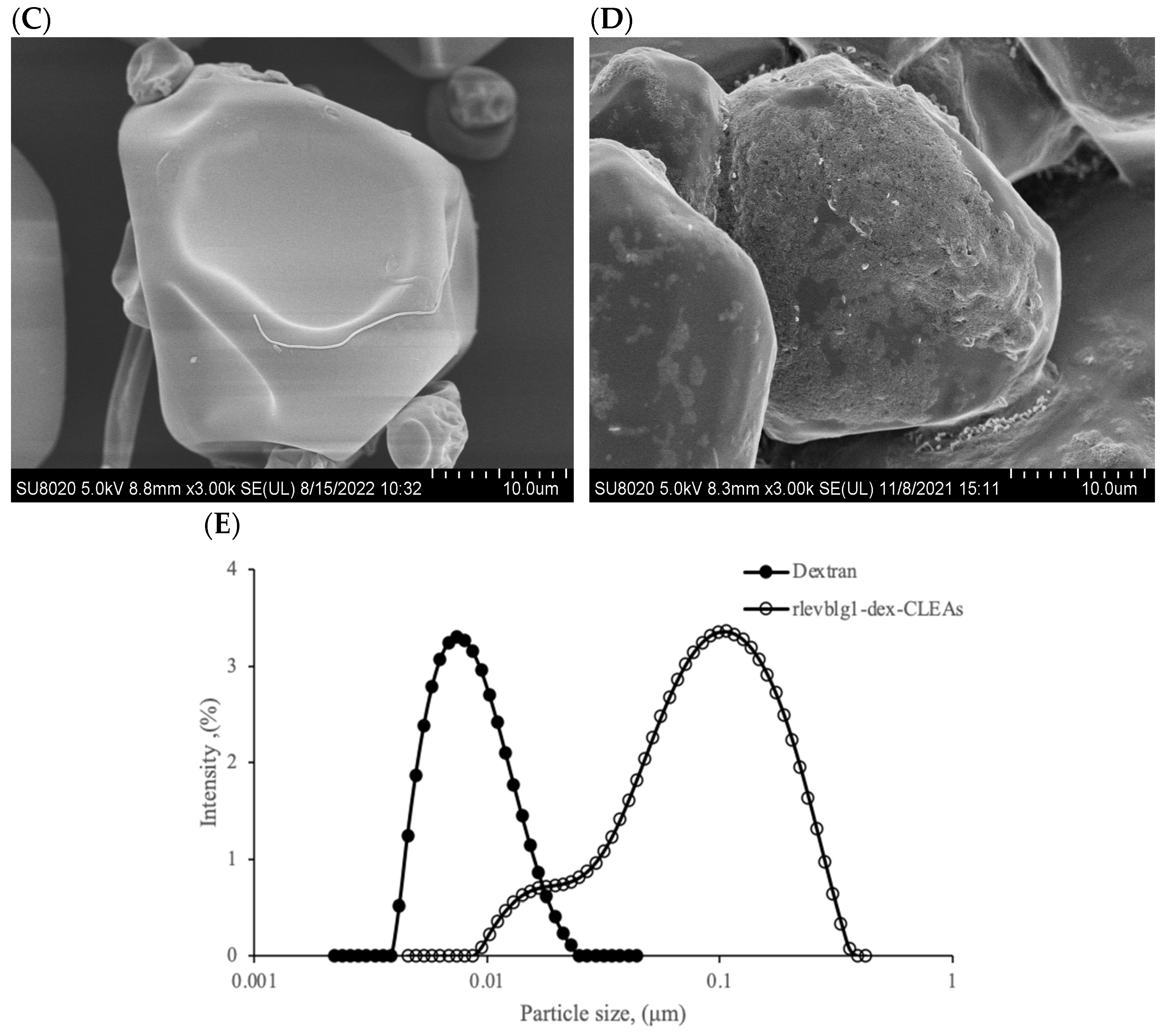 Catalysts 14 00584 g005b Catalysts 14 00584 g005b