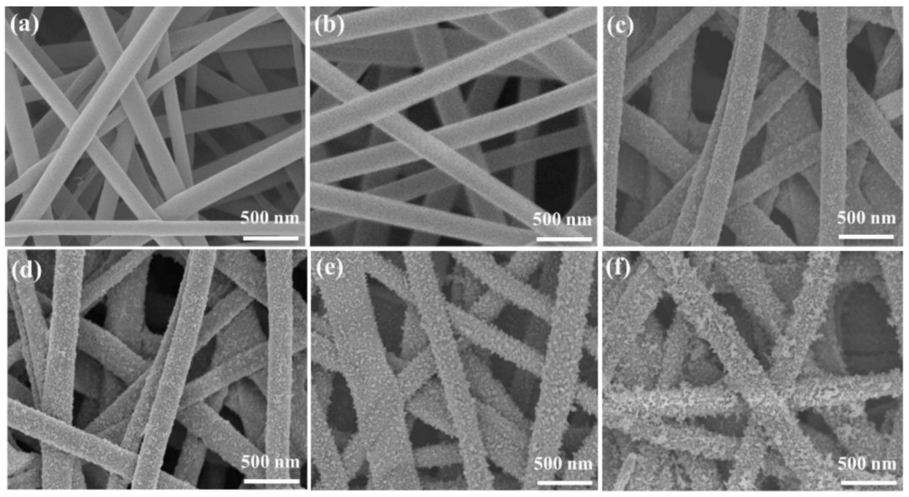 Catalysts 14 00588 g002