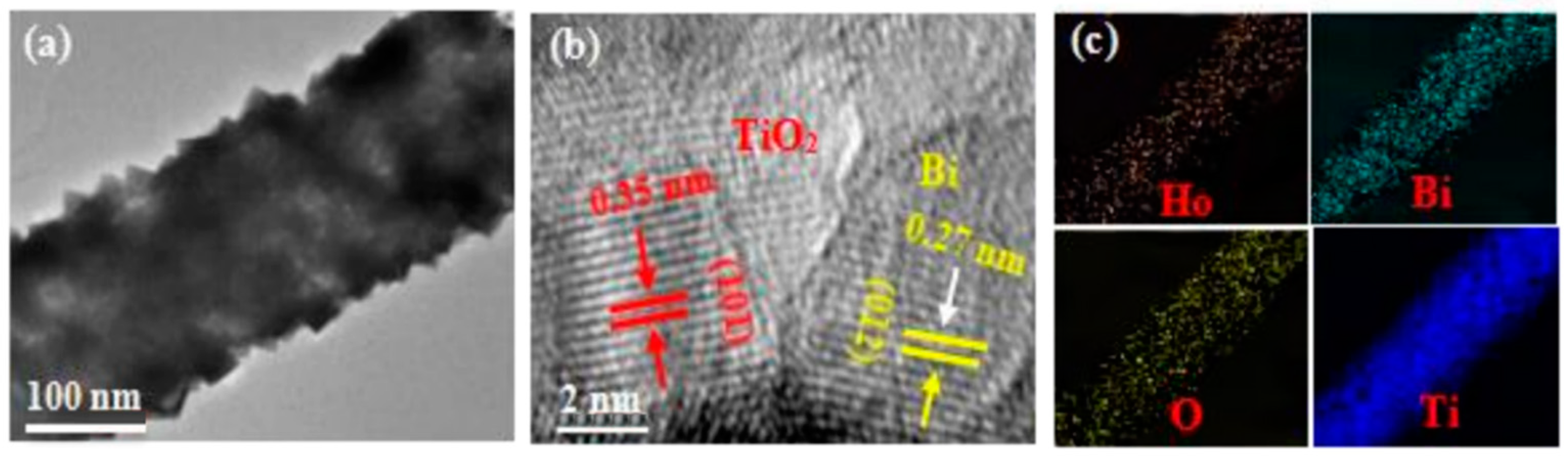 Catalysts 14 00588 g003