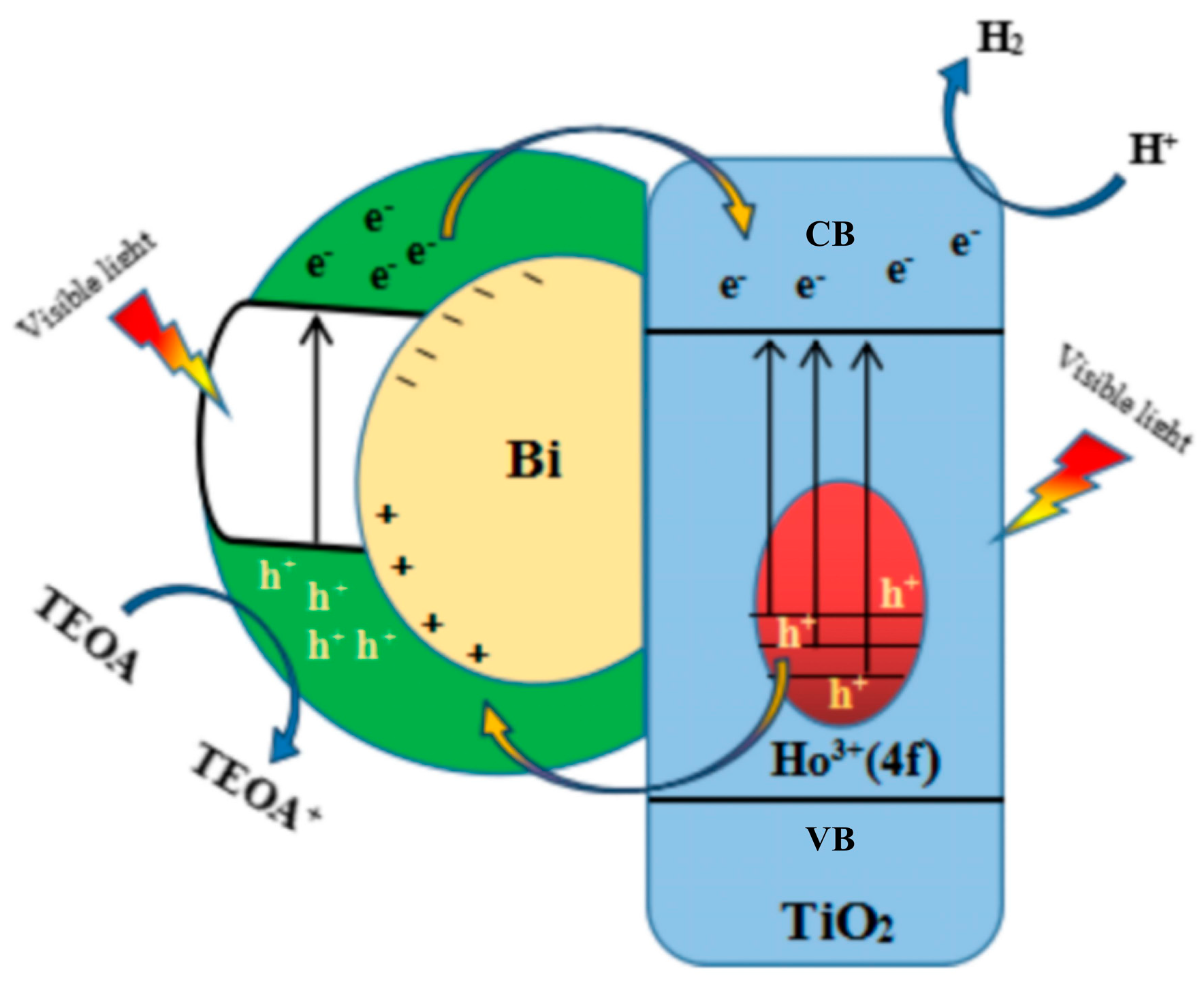 Catalysts 14 00588 g009