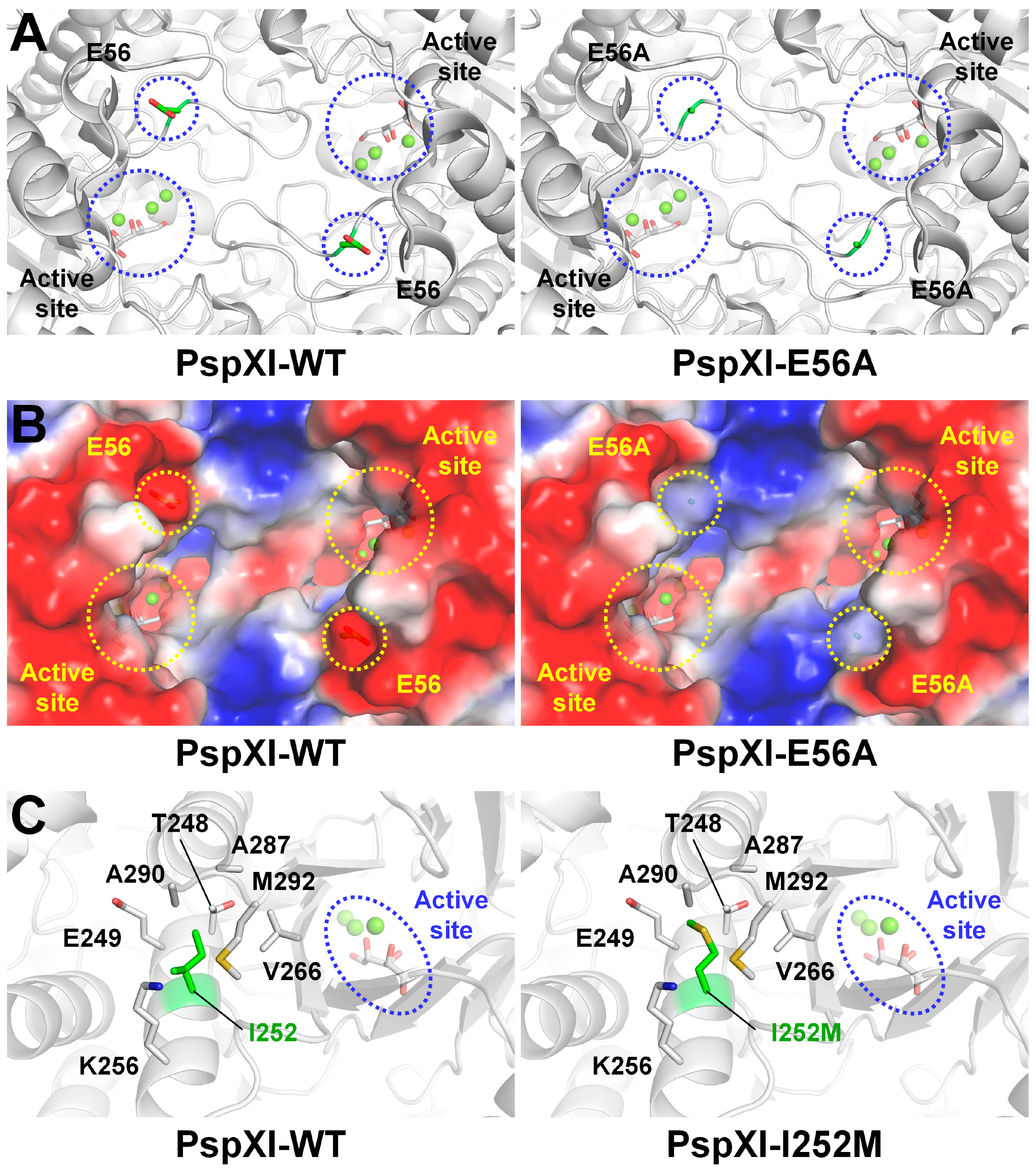 Catalysts 14 00597 g008