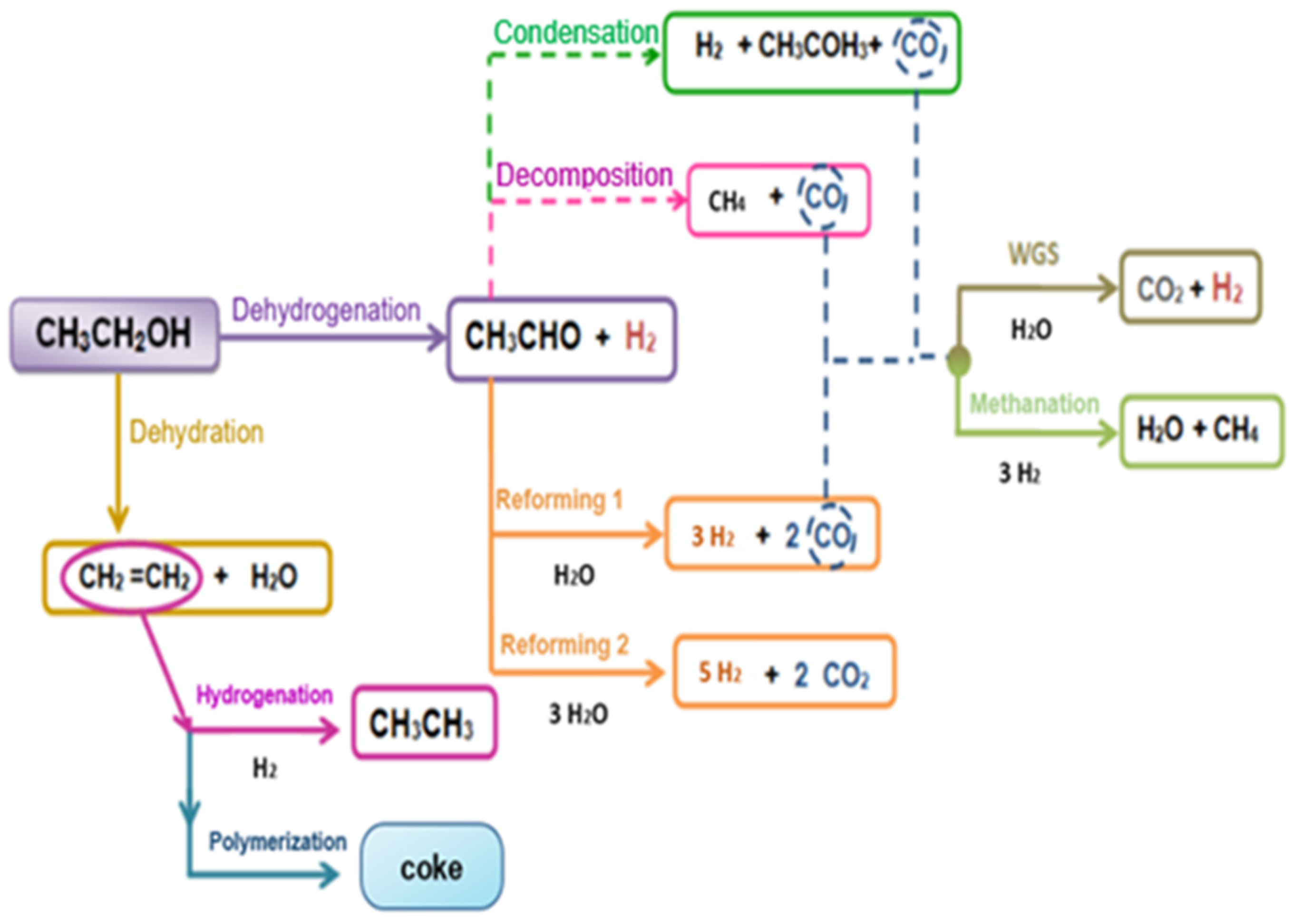 Catalysts 14 00605 g001