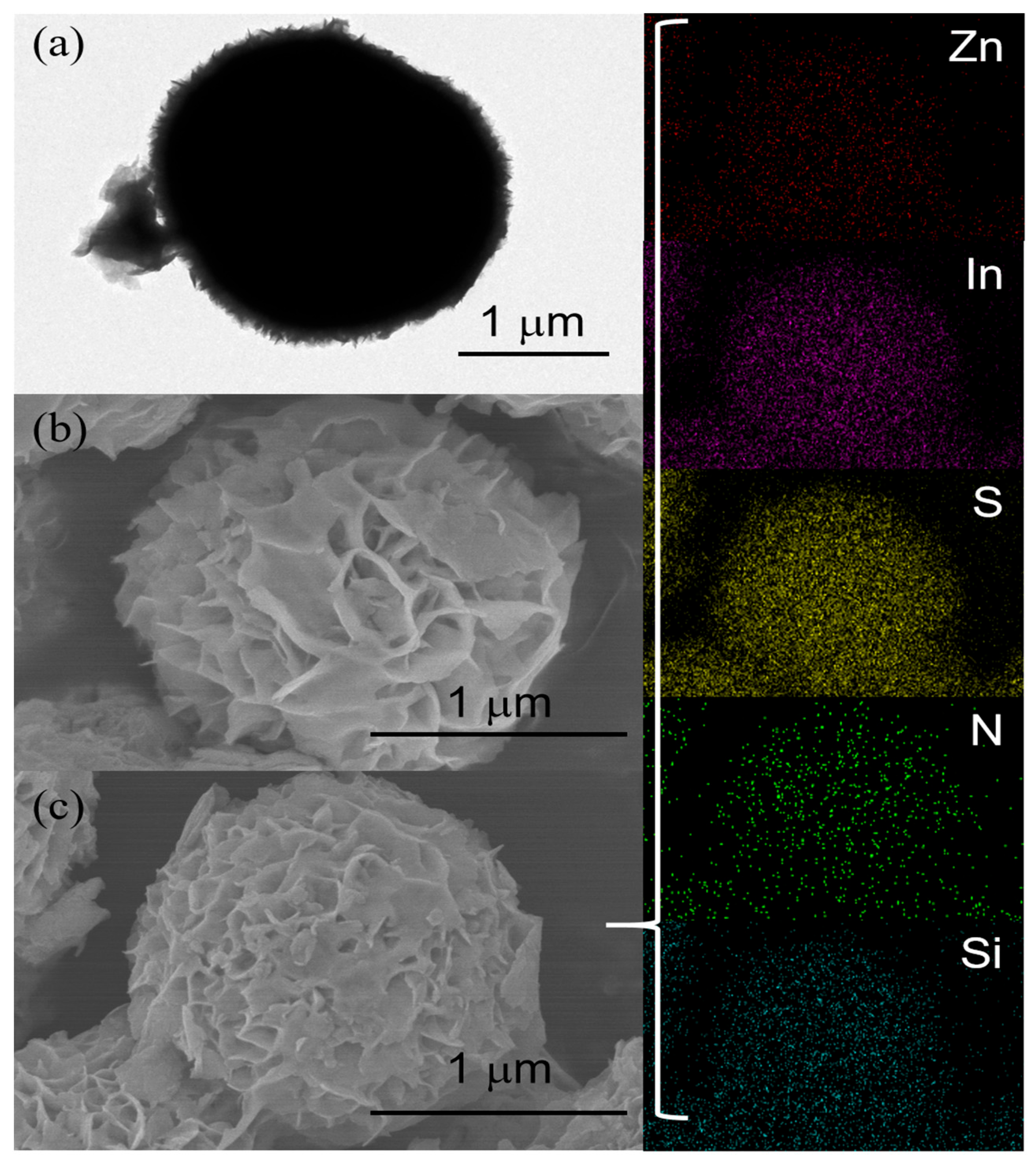 Catalysts 14 00607 g002
