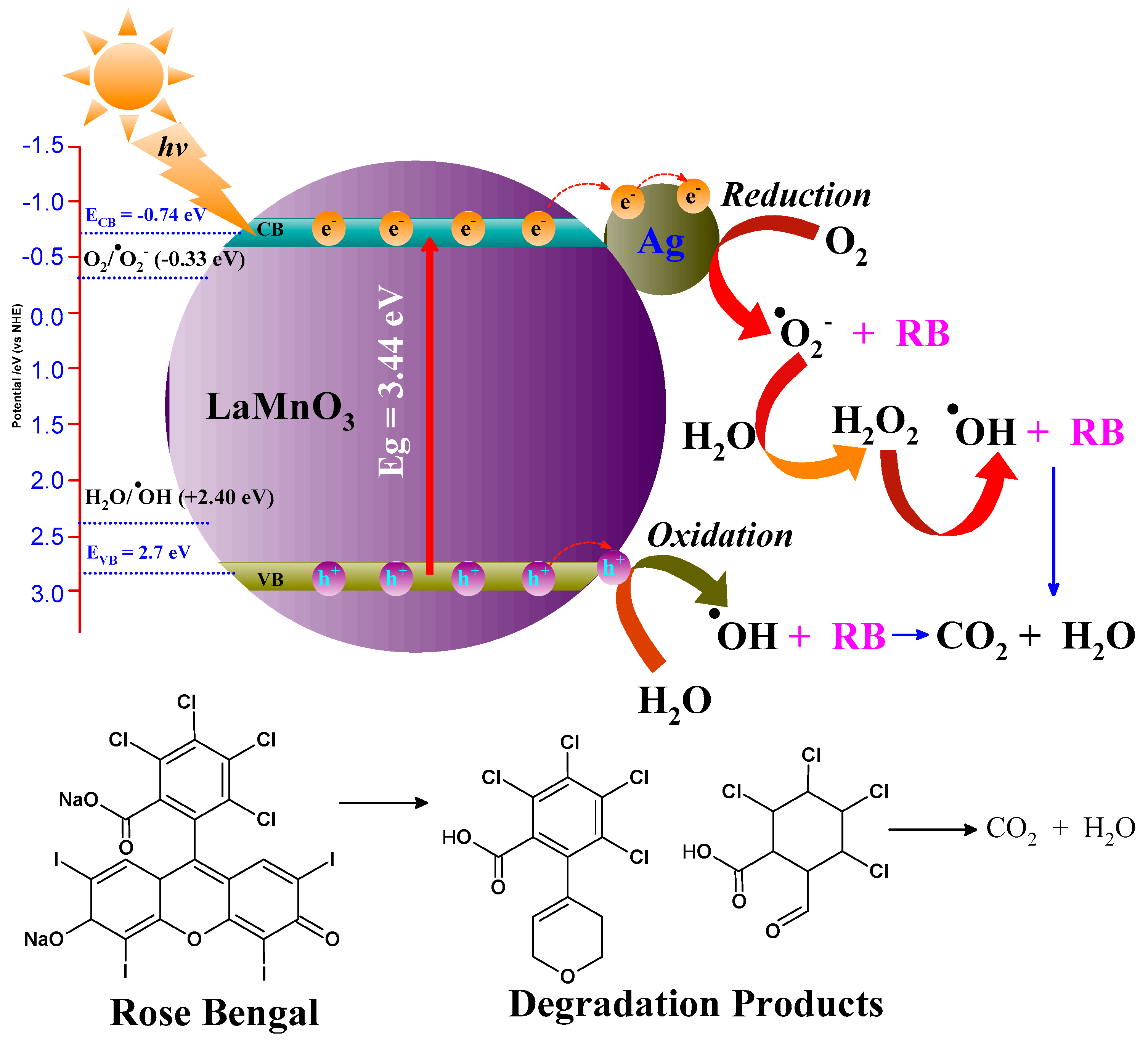 Catalysts 14 00609 g008