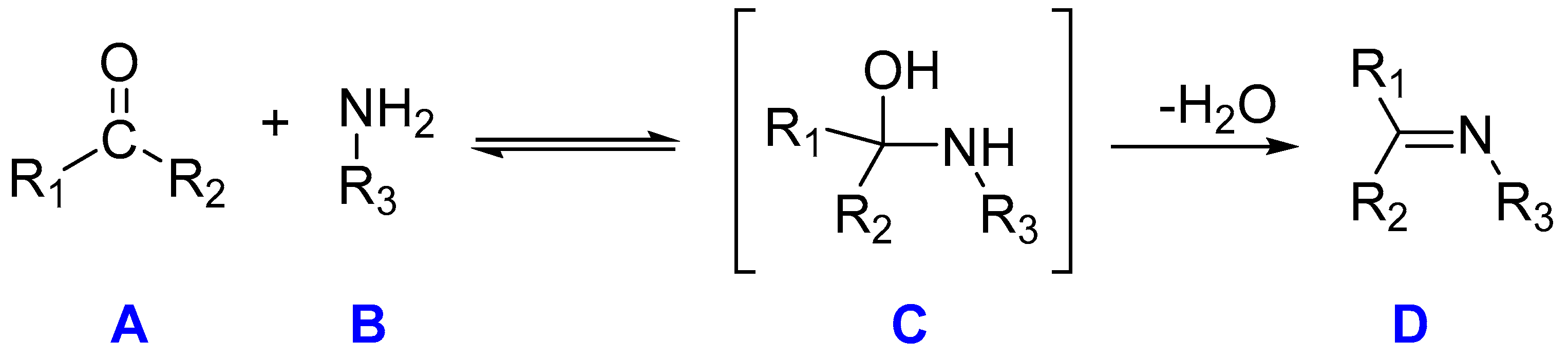 Catalysts 14 00612 sch001