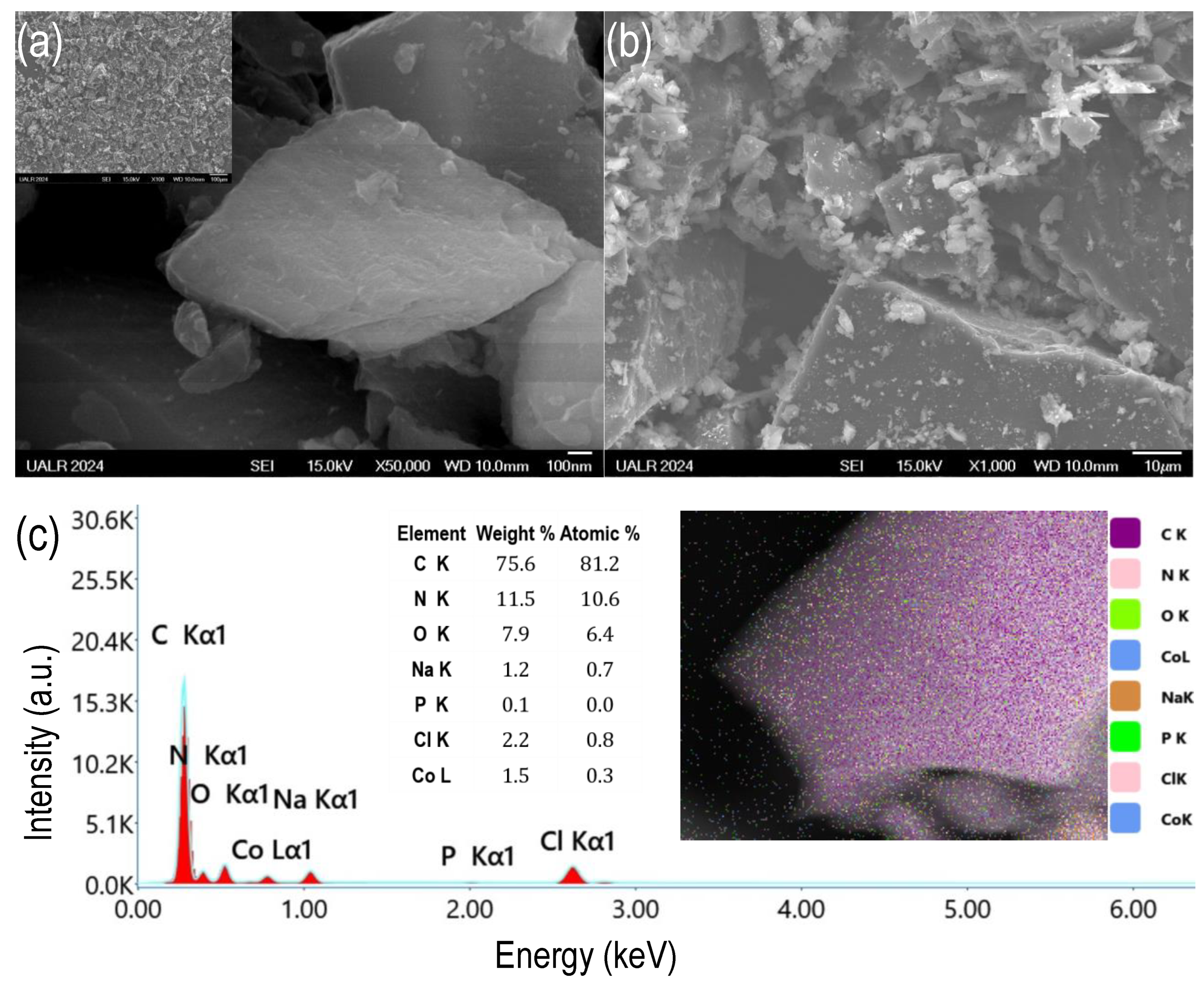 Catalysts 14 00613 g001