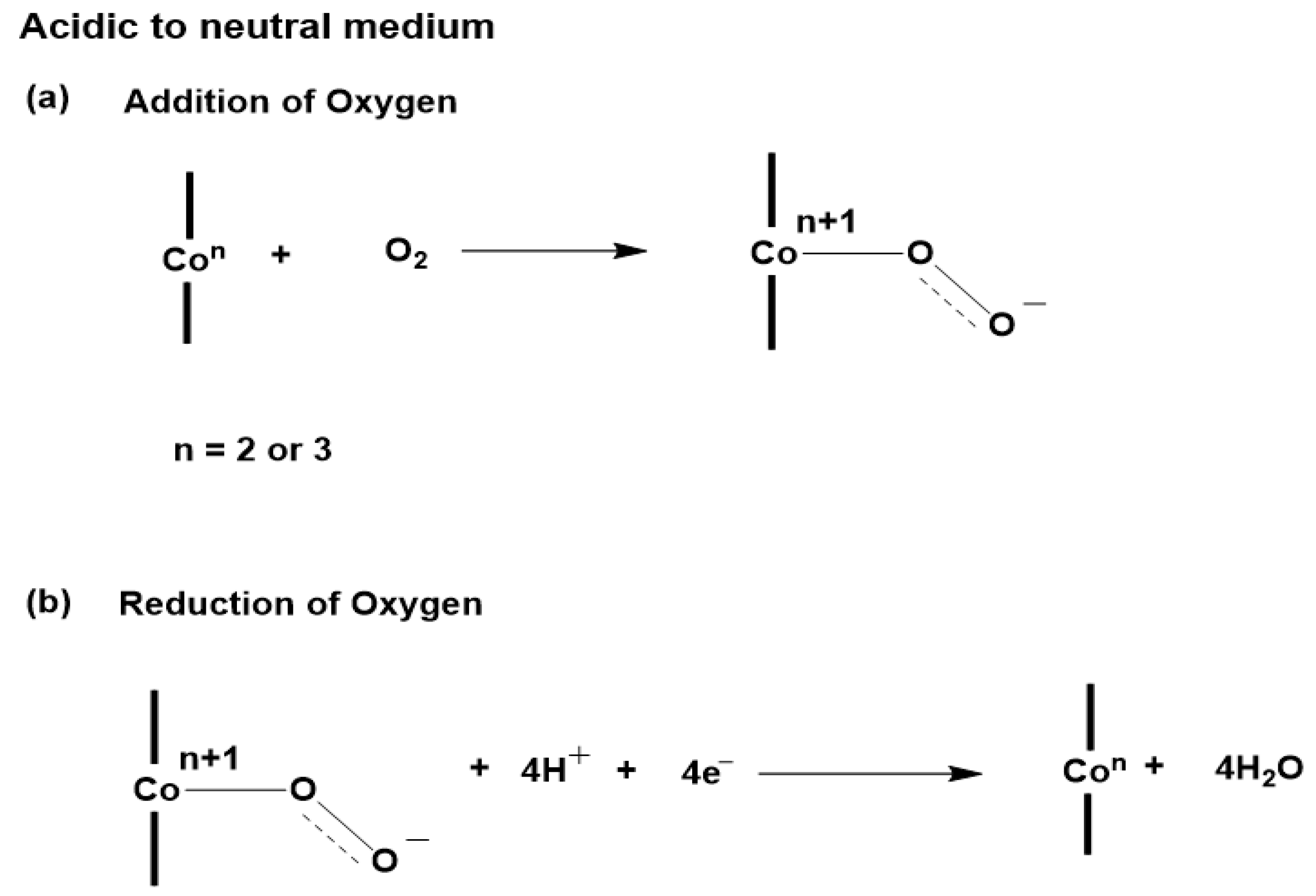 Catalysts 14 00613 g008