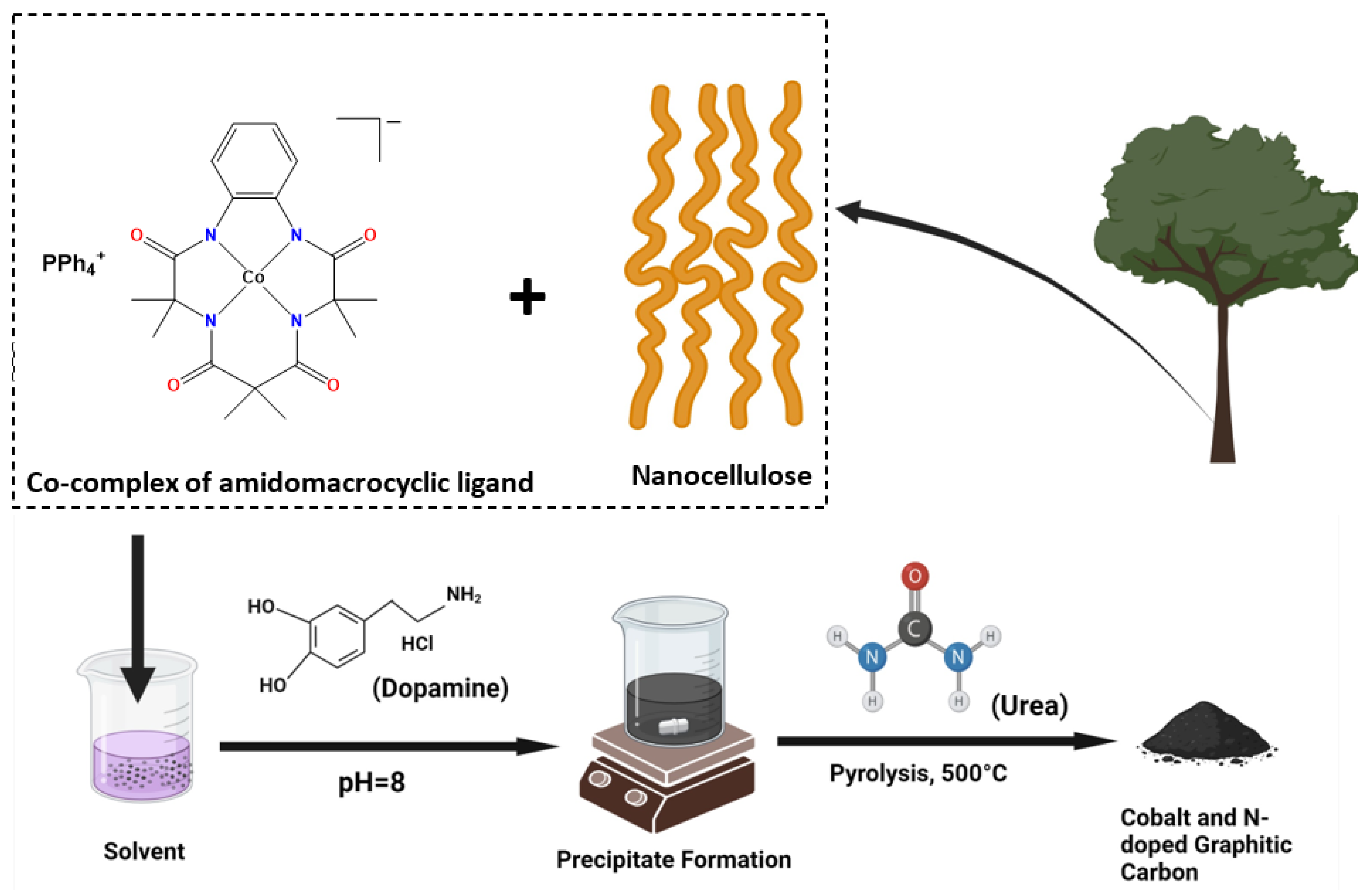 Catalysts 14 00613 g009
