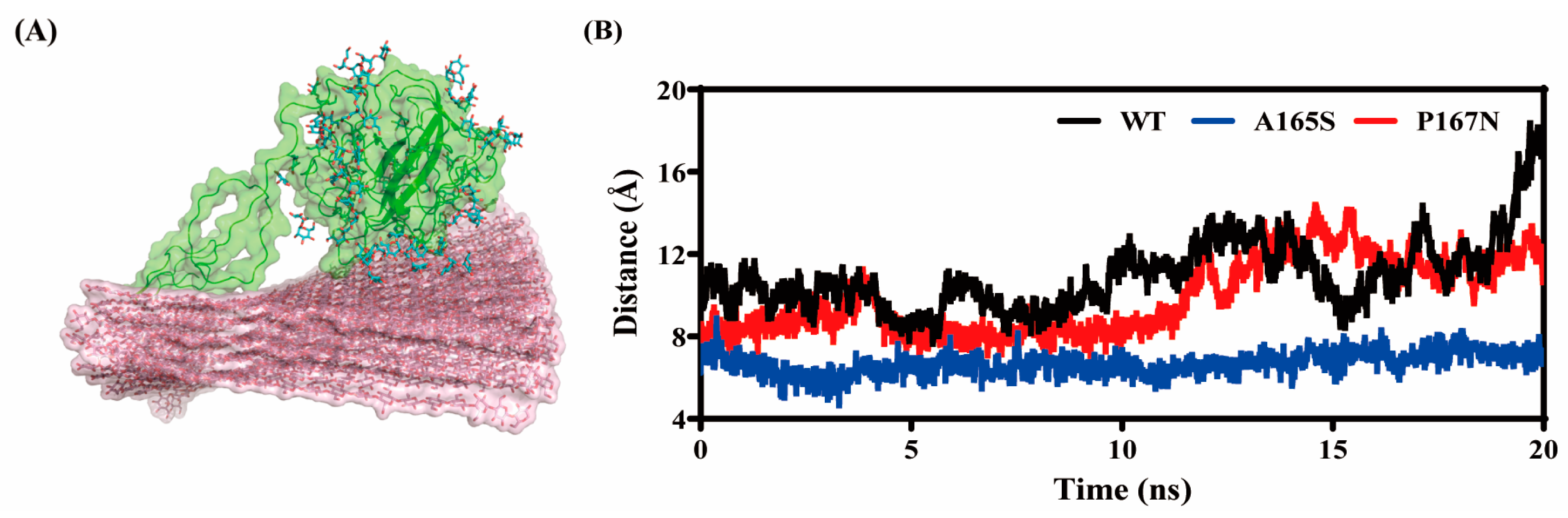 Catalysts 14 00614 g008