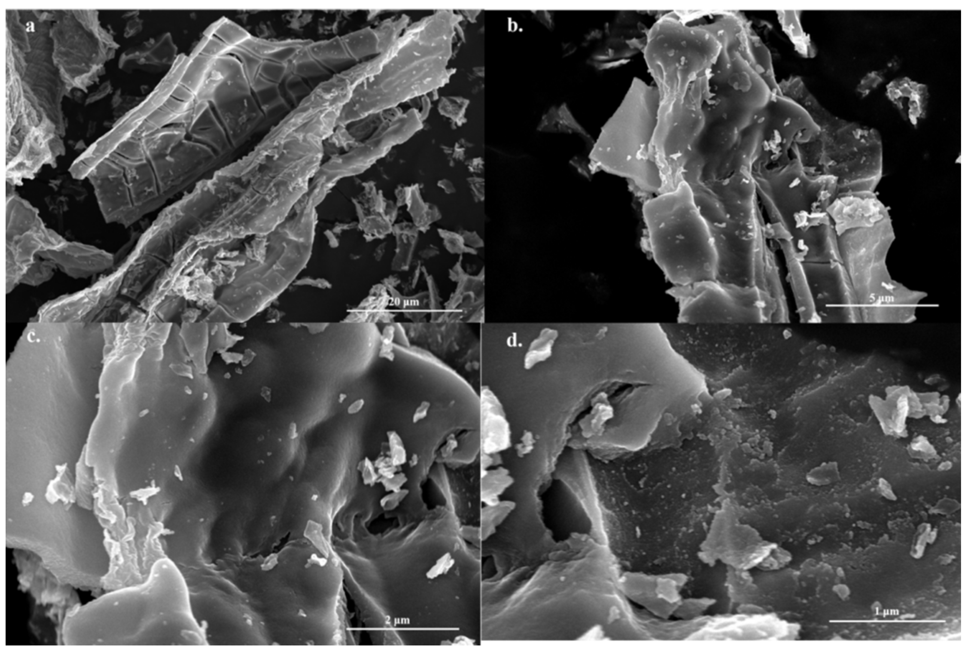 Catalysts 14 00615 g002
