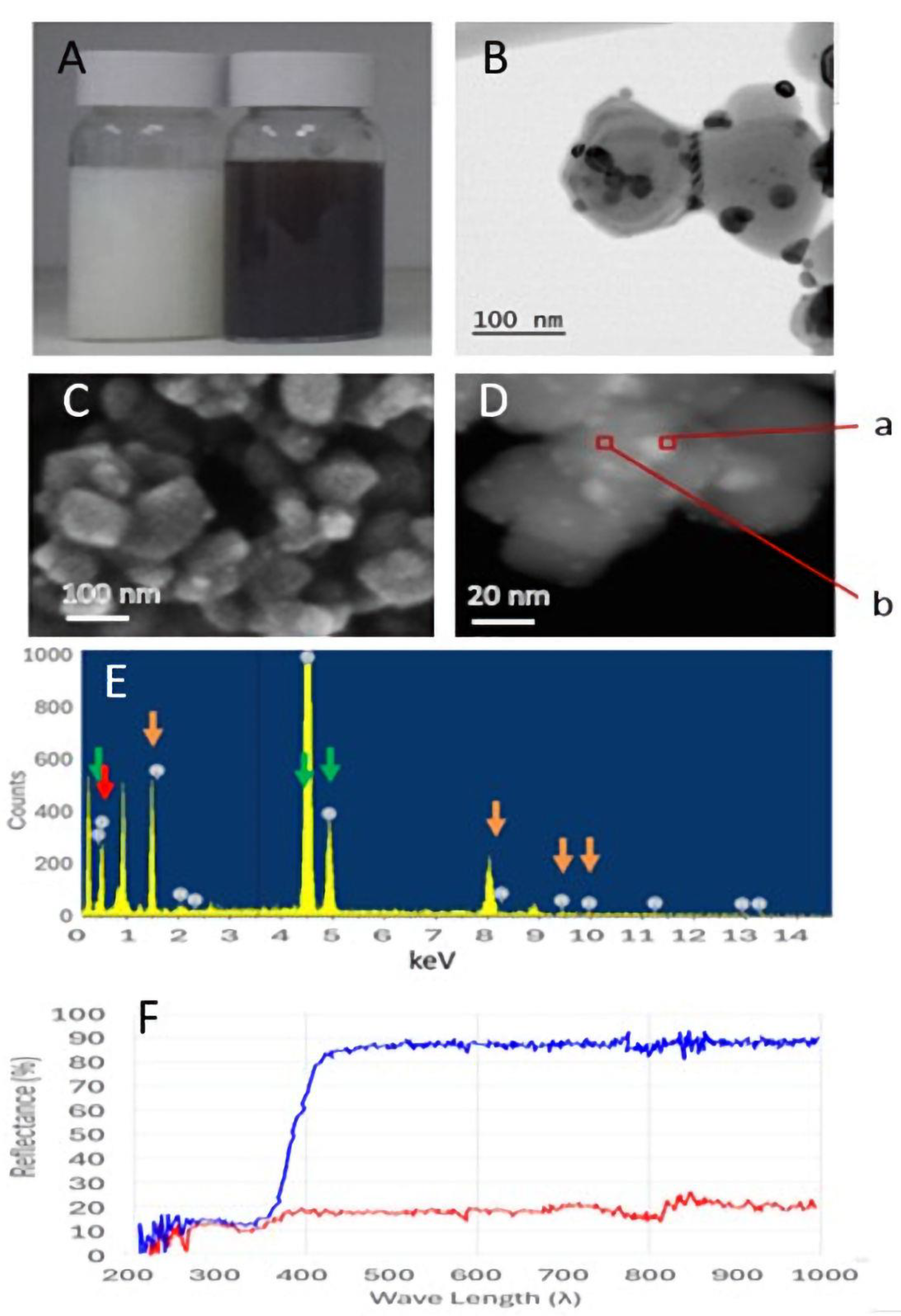 Catalysts 14 00622 g001
