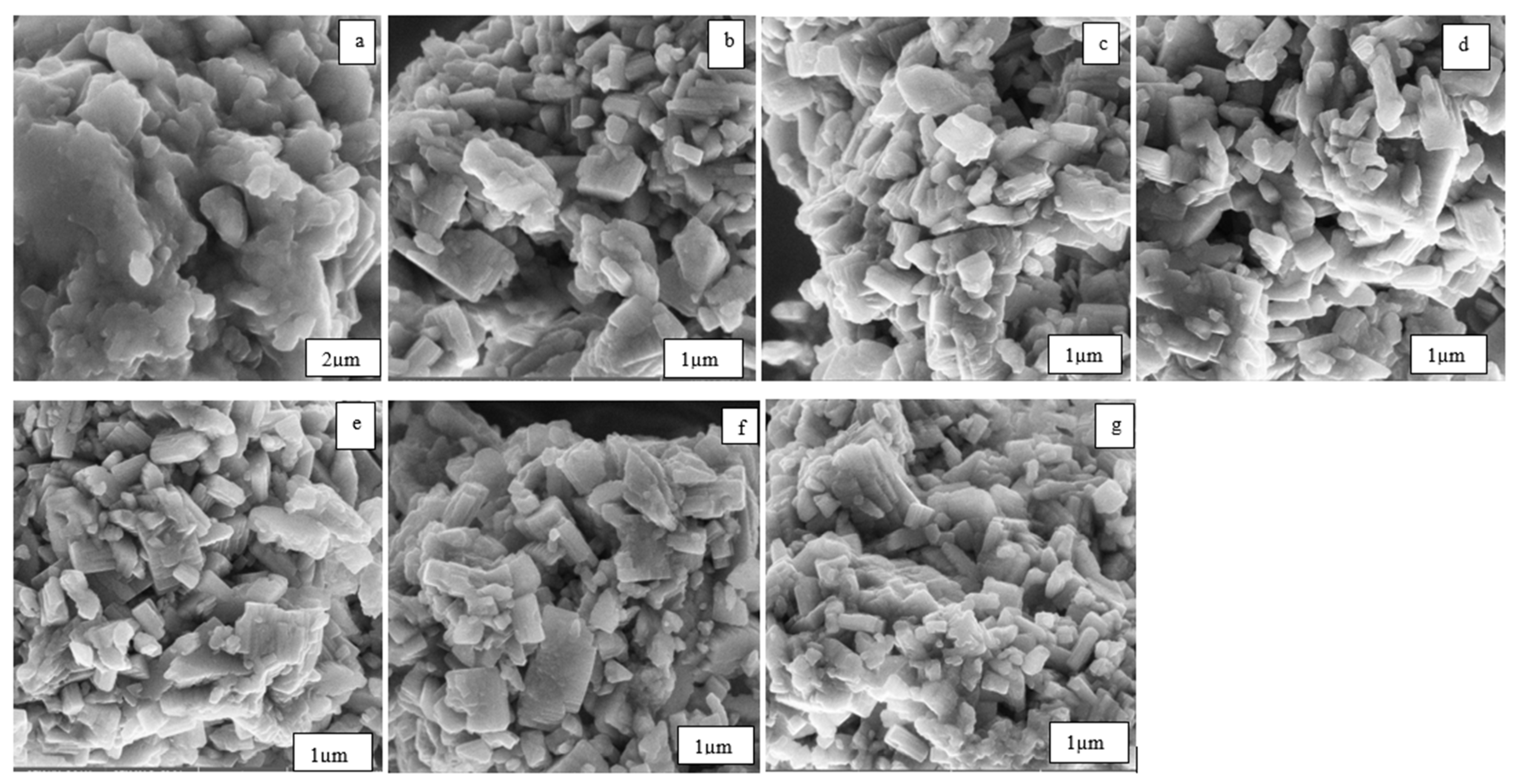 Catalysts 14 00631 g004
