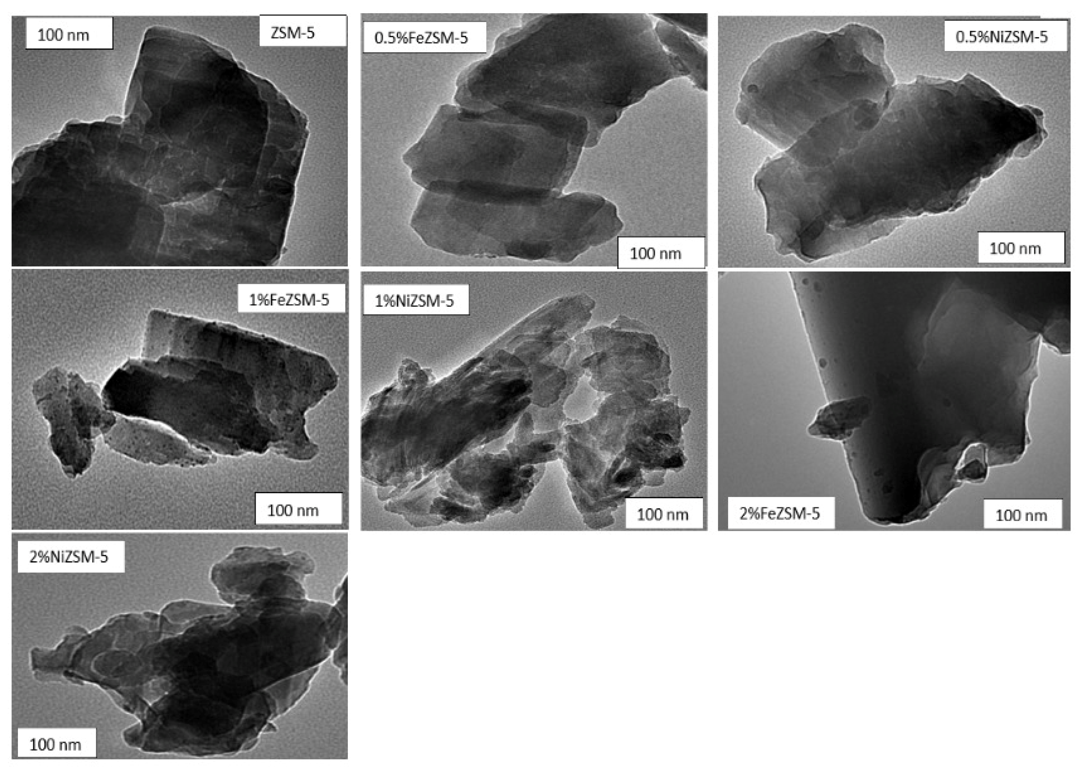 Catalysts 14 00631 g008