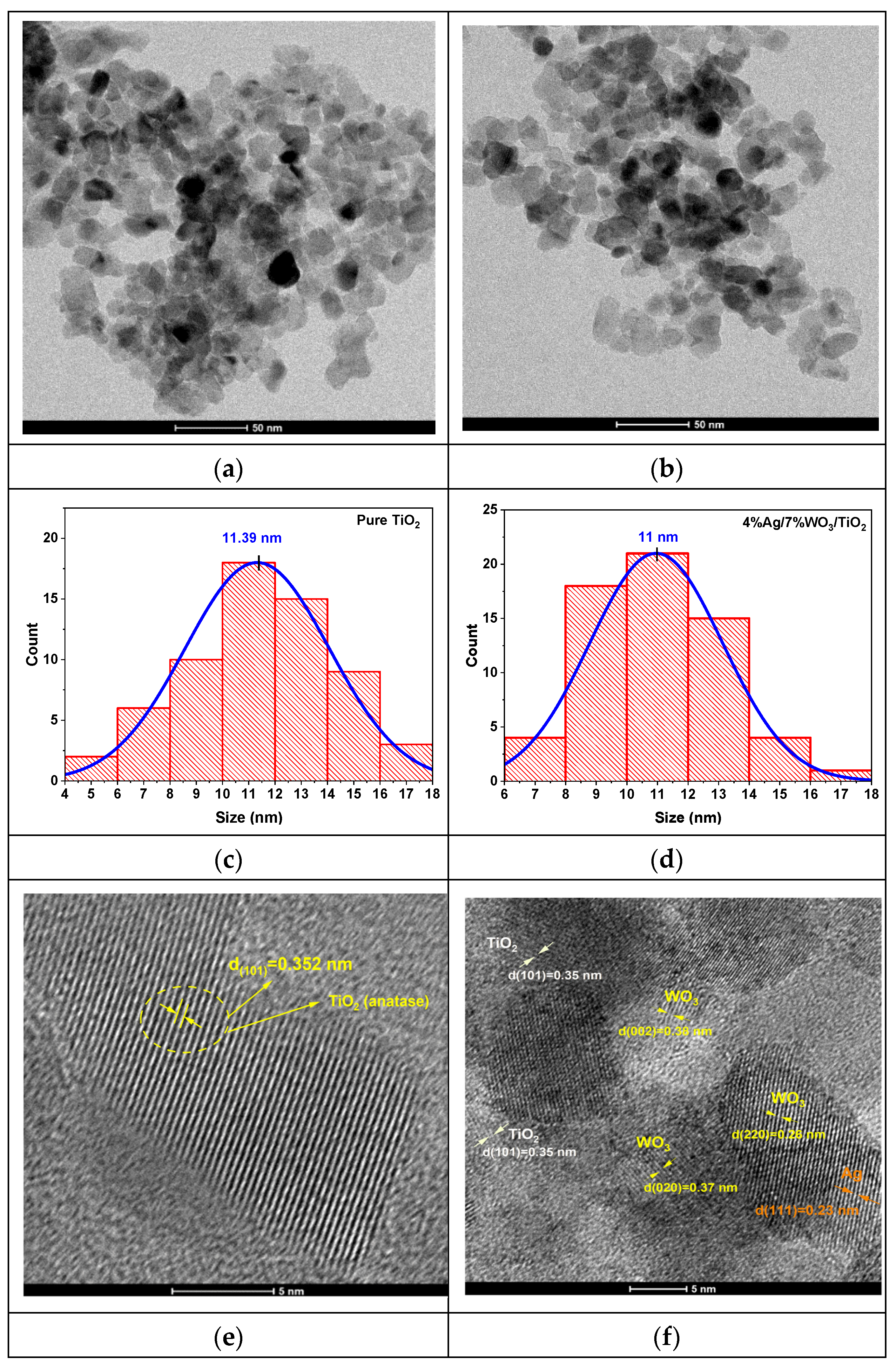 Catalysts 14 00633 g003a