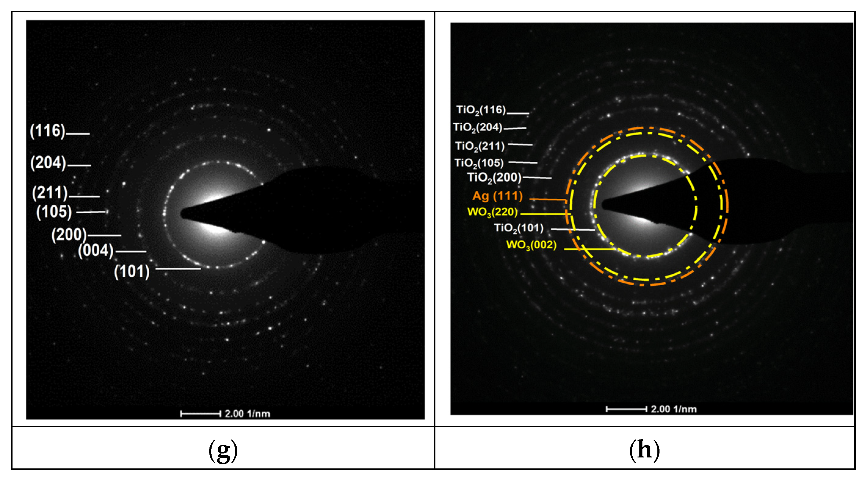 Catalysts 14 00633 g003b