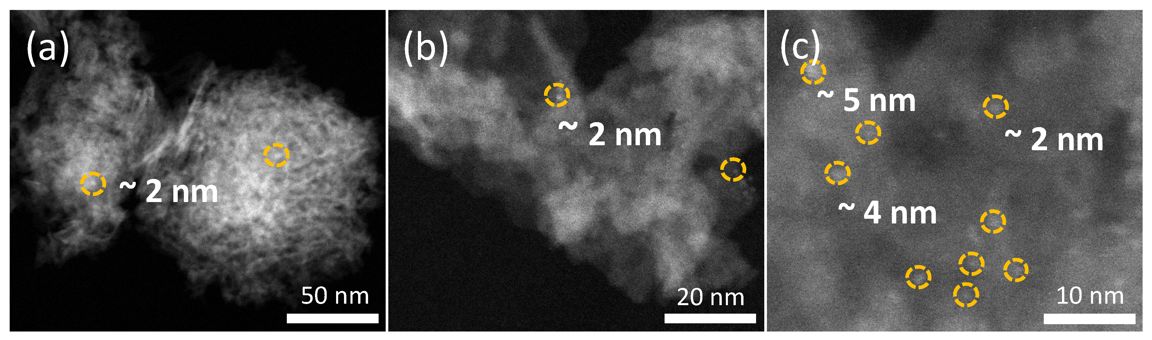 Catalysts 14 00637 g003
