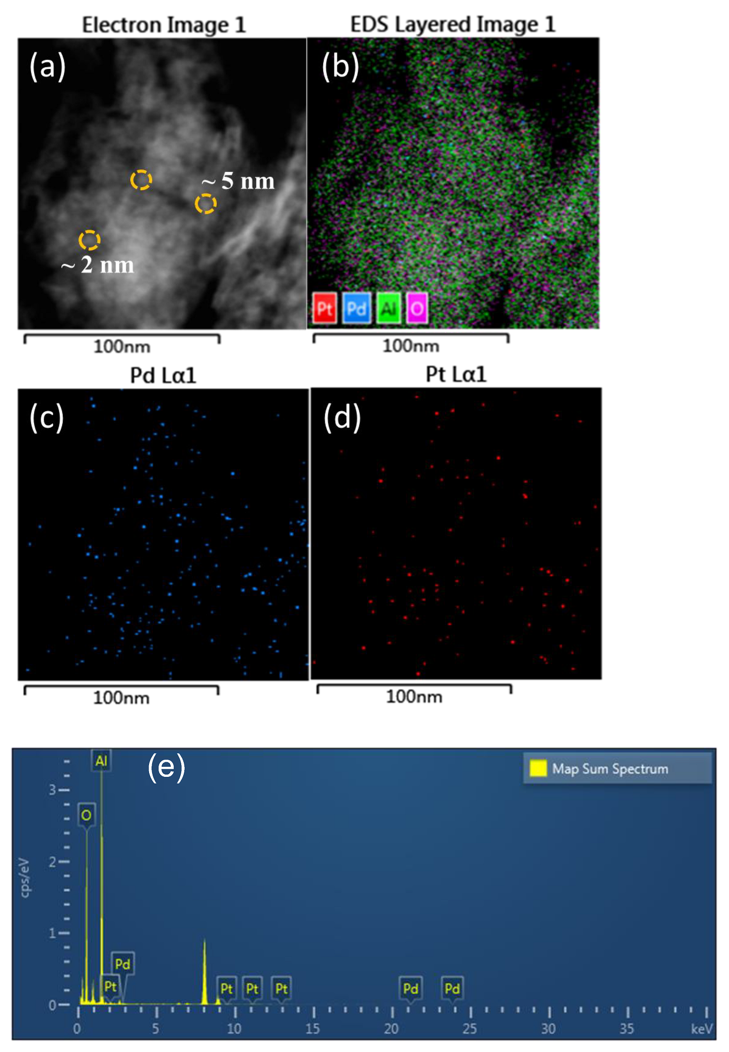 Catalysts 14 00637 g004