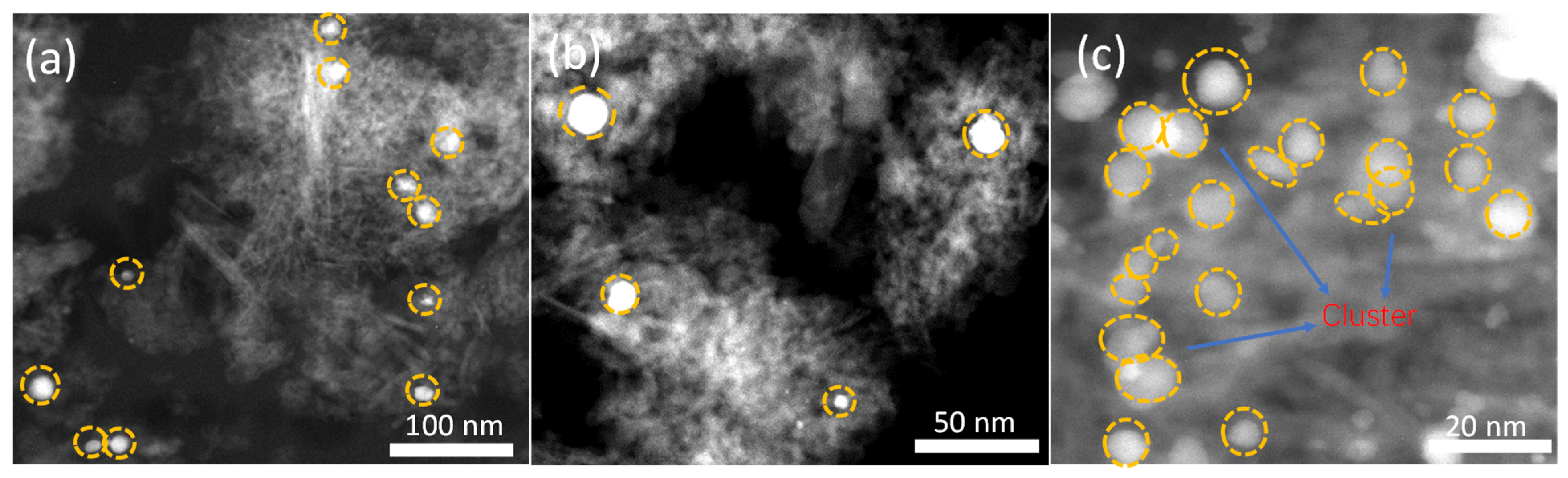 Catalysts 14 00637 g005