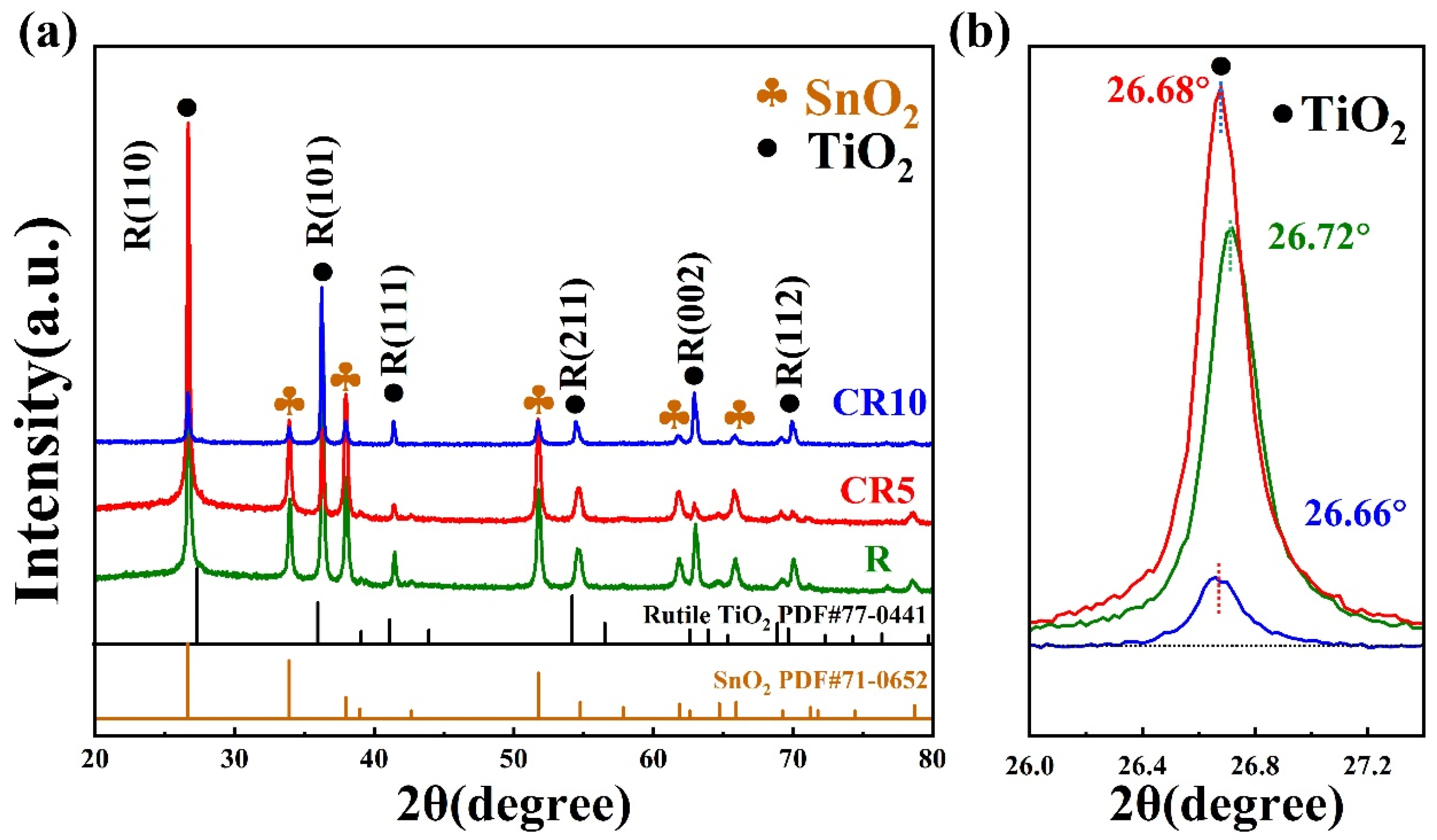 Catalysts 14 00639 g001