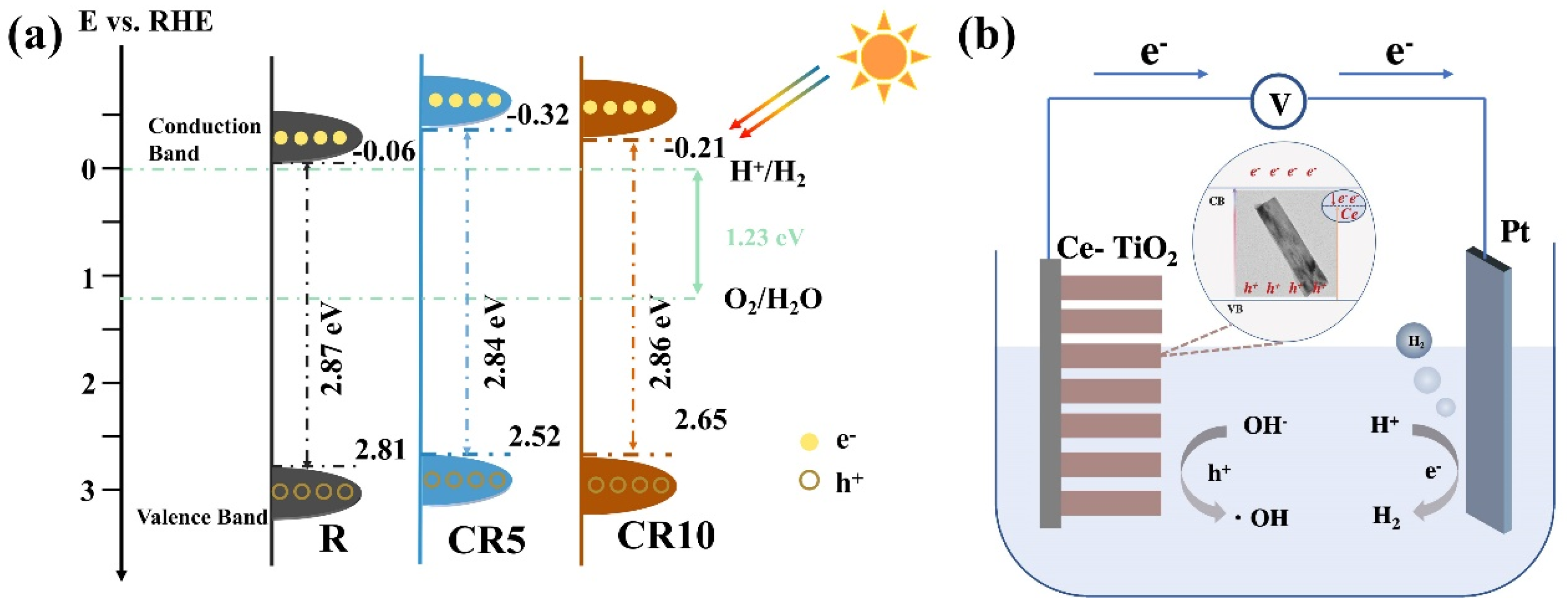 Catalysts 14 00639 g009