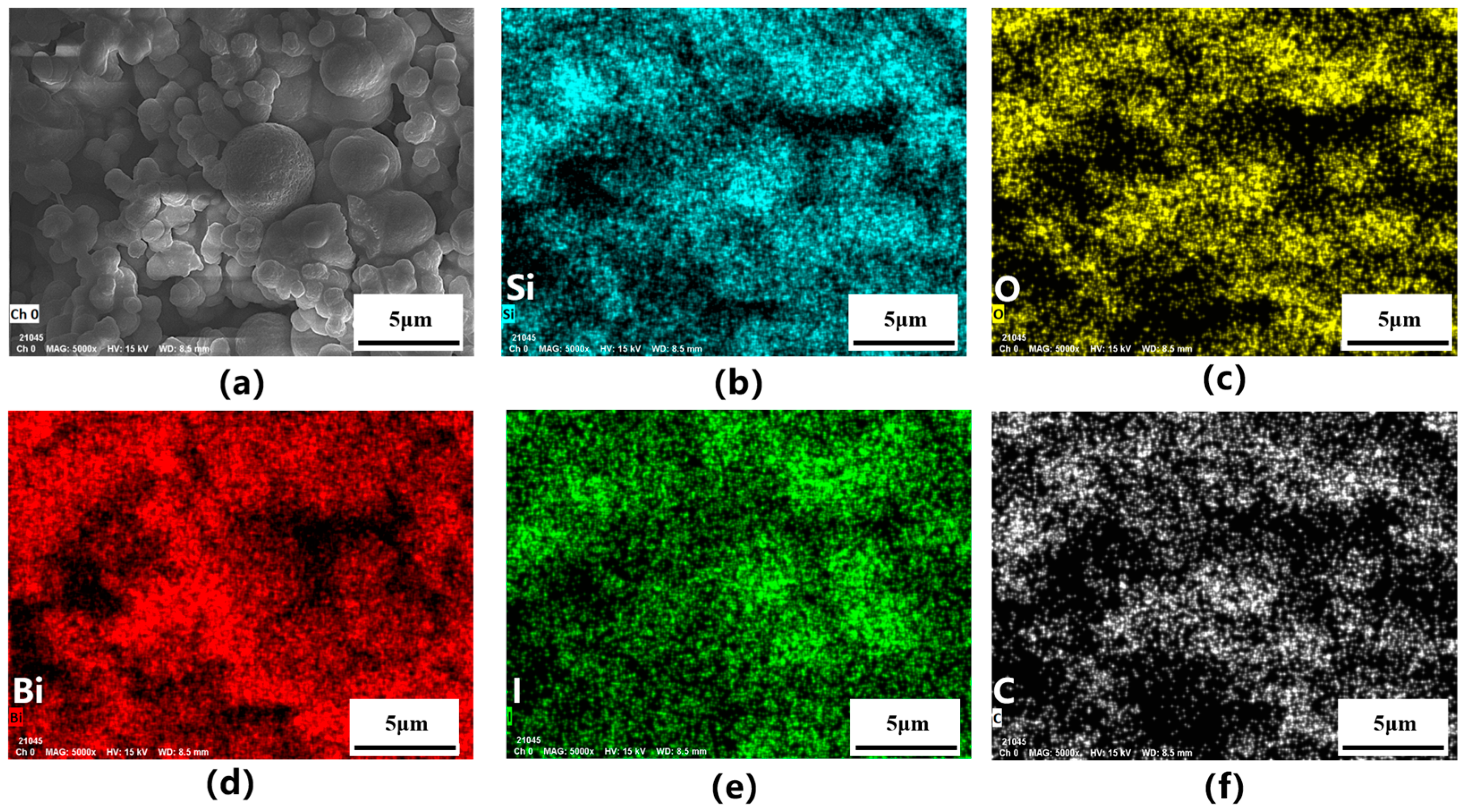 Catalysts 14 00645 g002