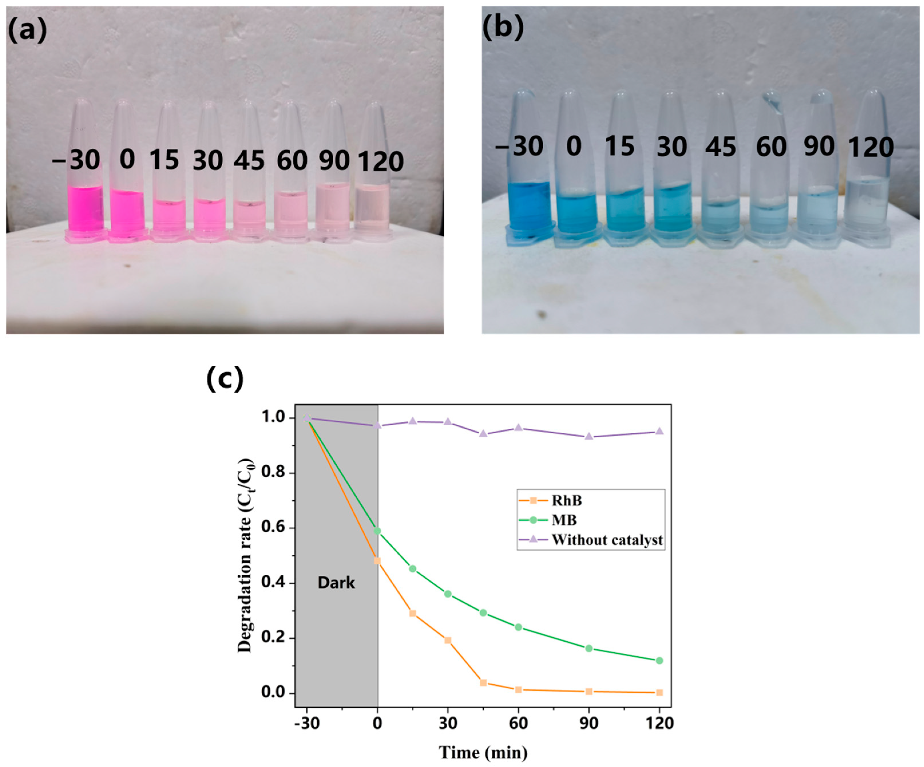 Catalysts 14 00645 g004