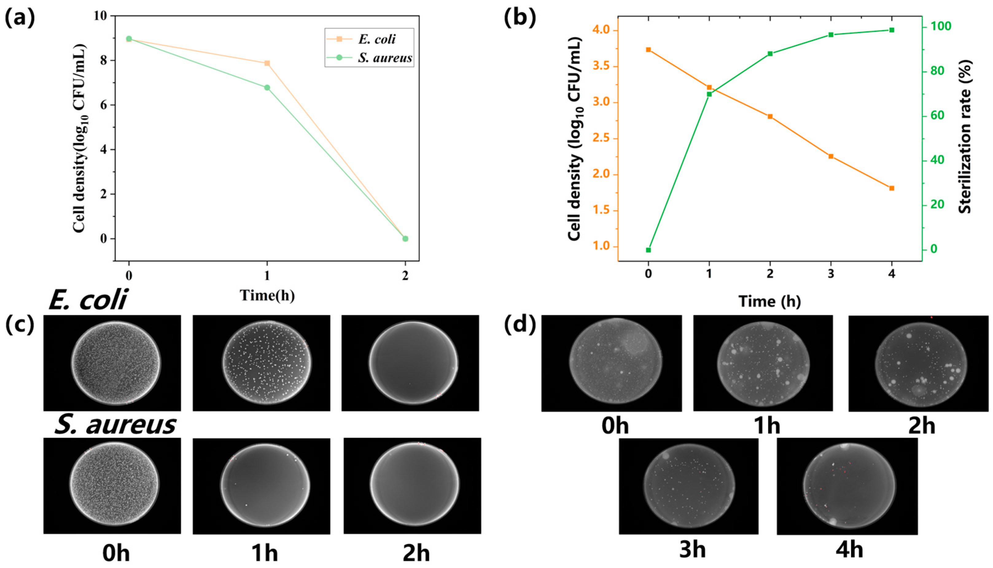 Catalysts 14 00645 g005