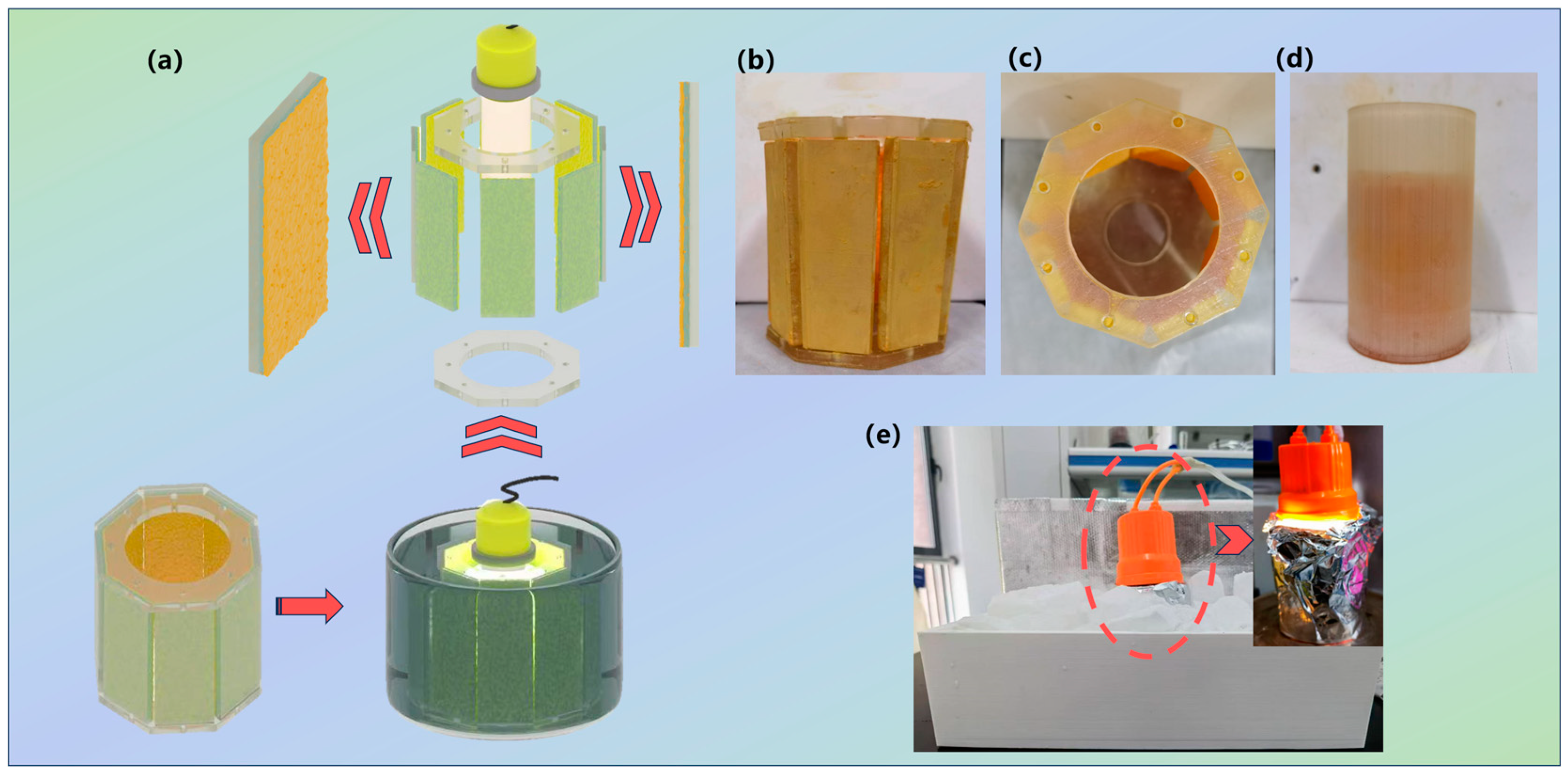 Catalysts 14 00645 g009