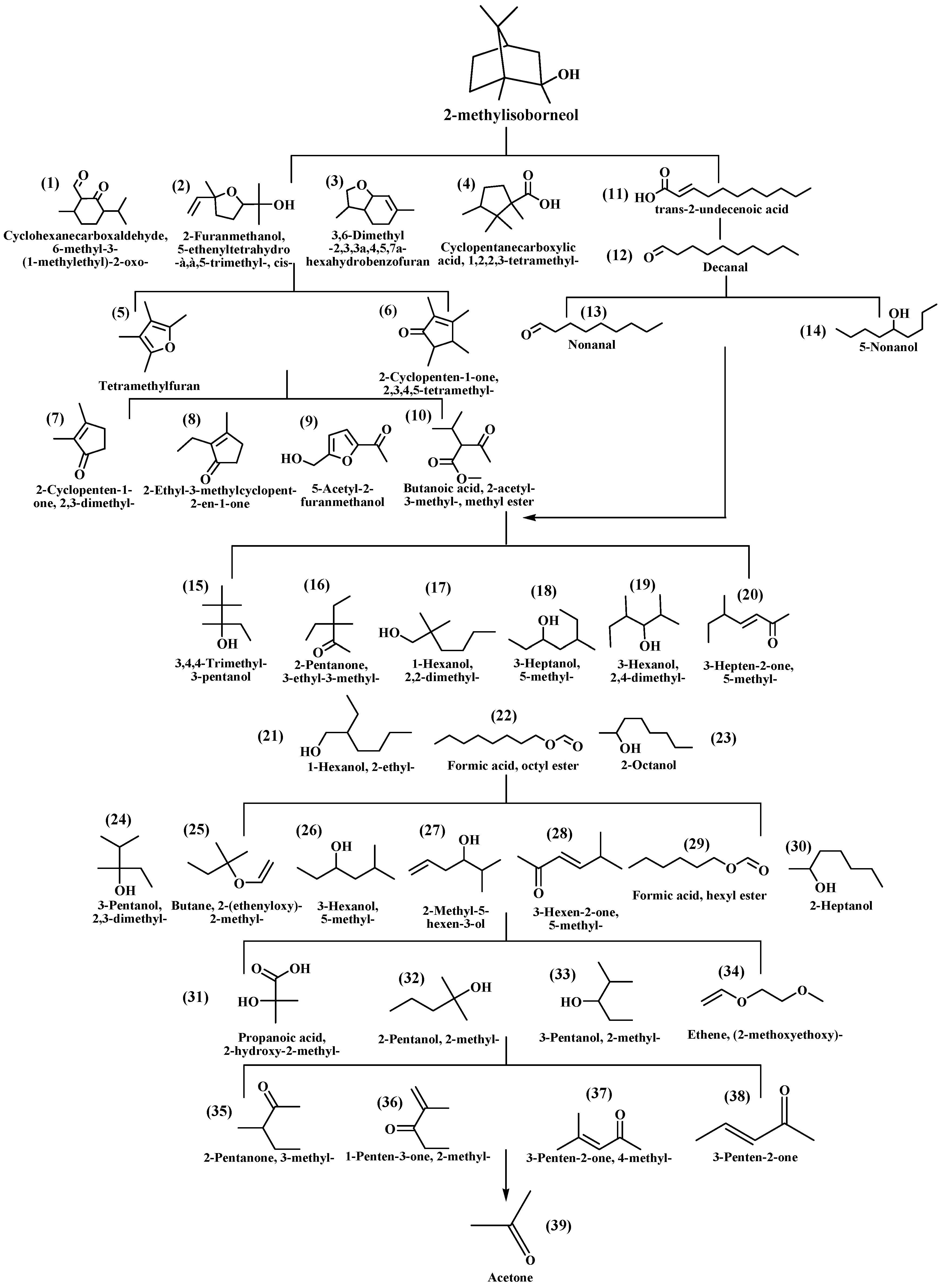 Catalysts 14 00649 g009