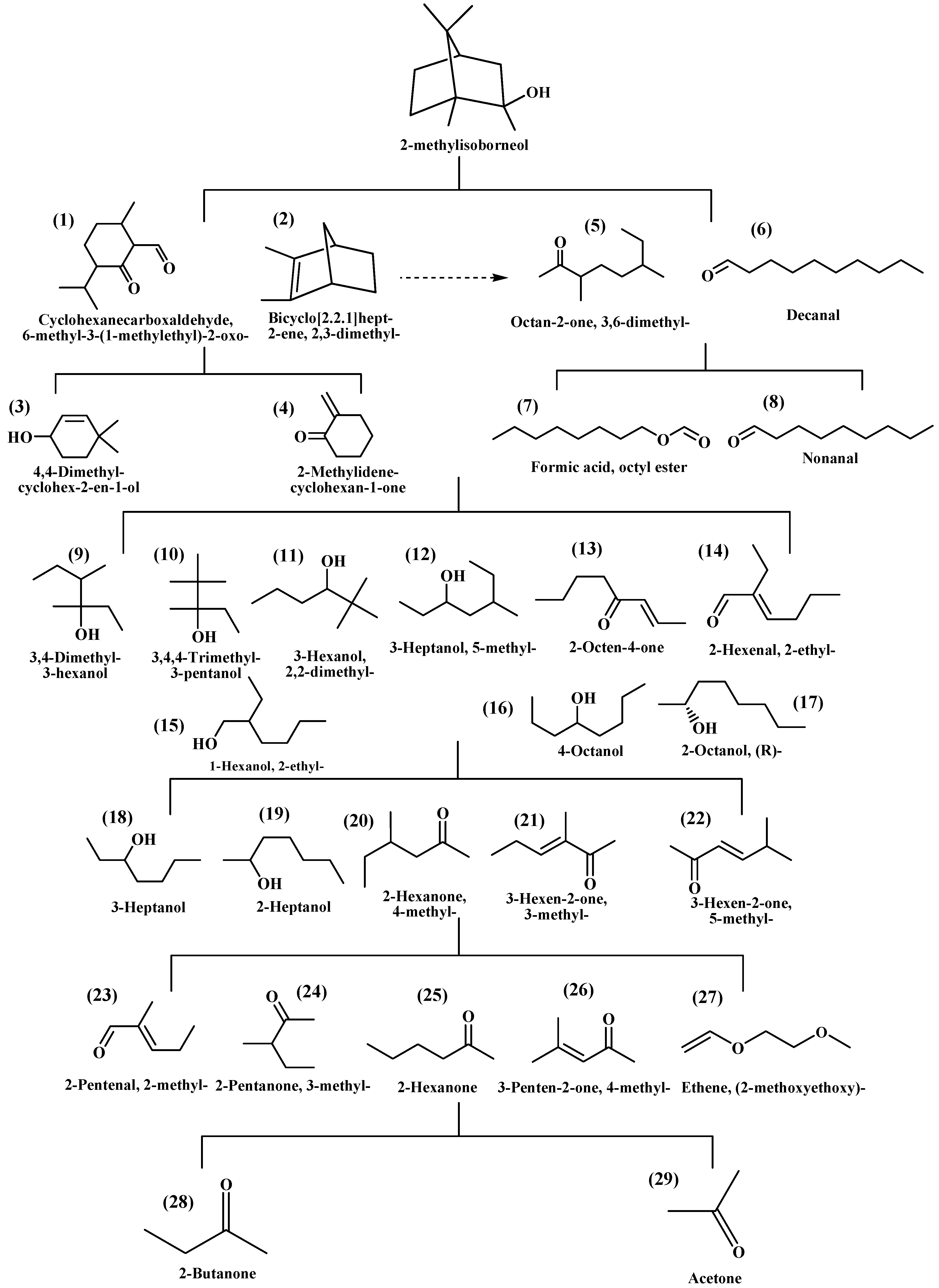 Catalysts 14 00649 g010
