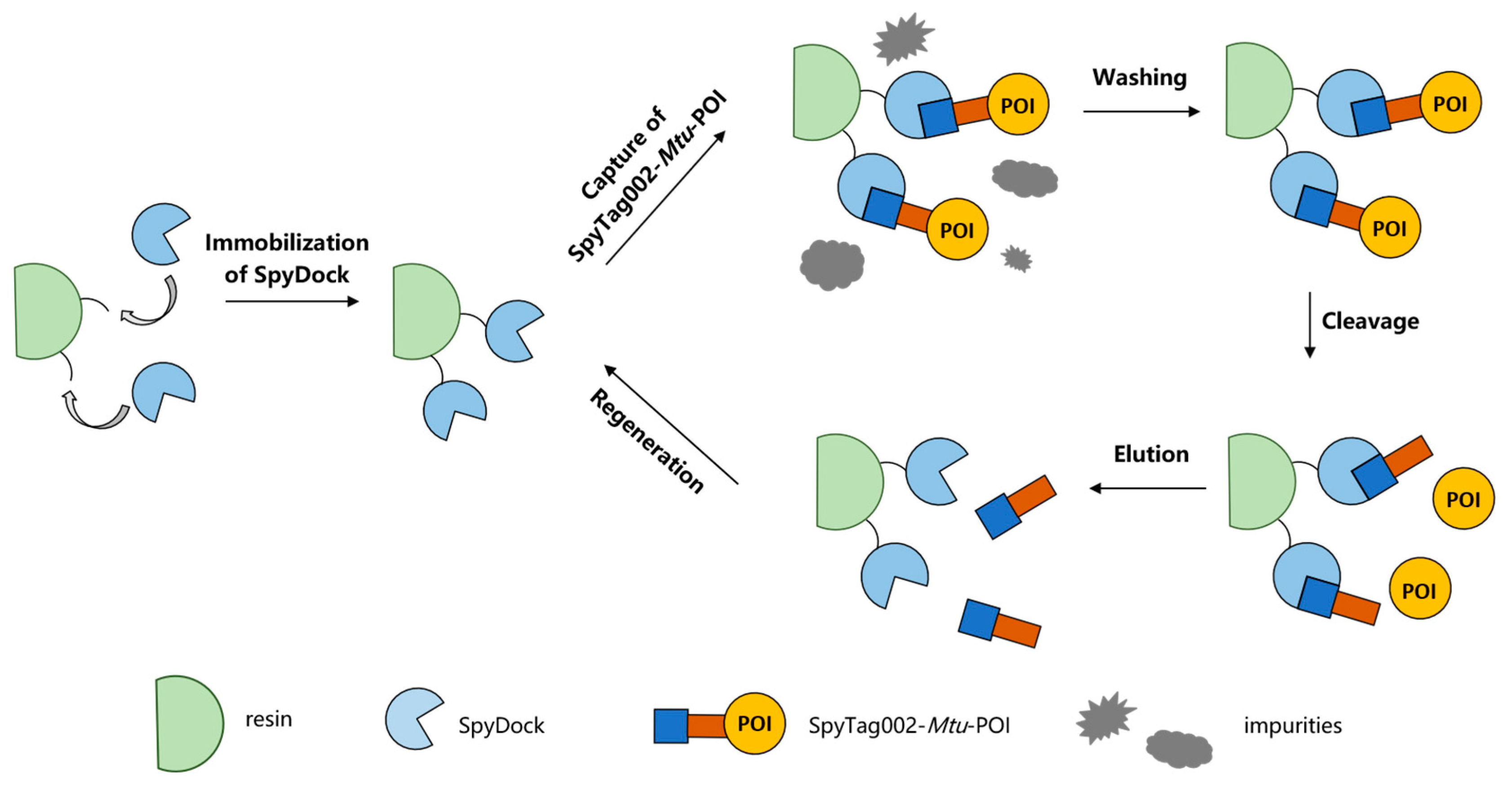 Catalysts 14 00651 g001 Catalysts 14 00651 g001