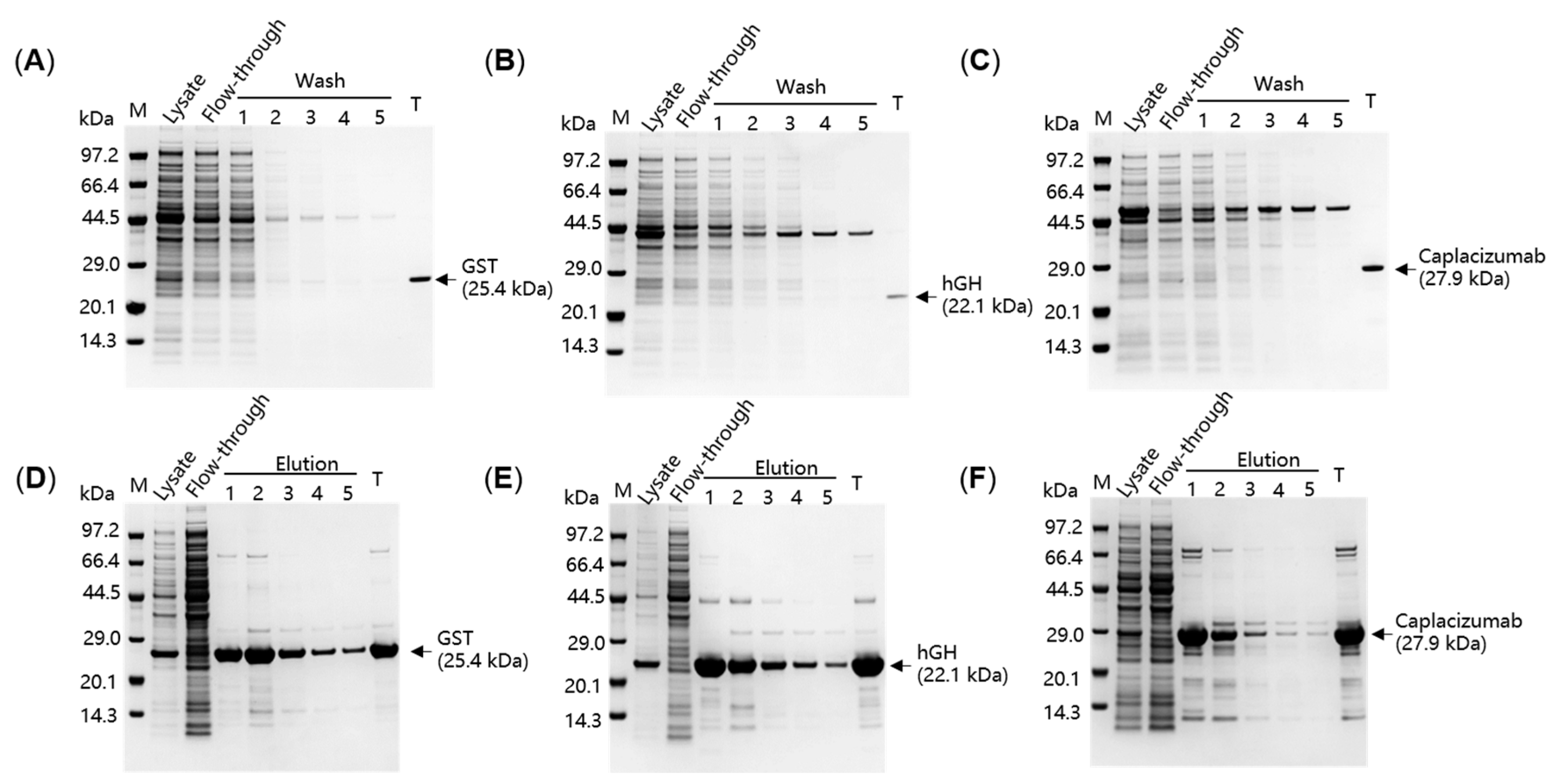 Catalysts 14 00651 g003 Catalysts 14 00651 g003