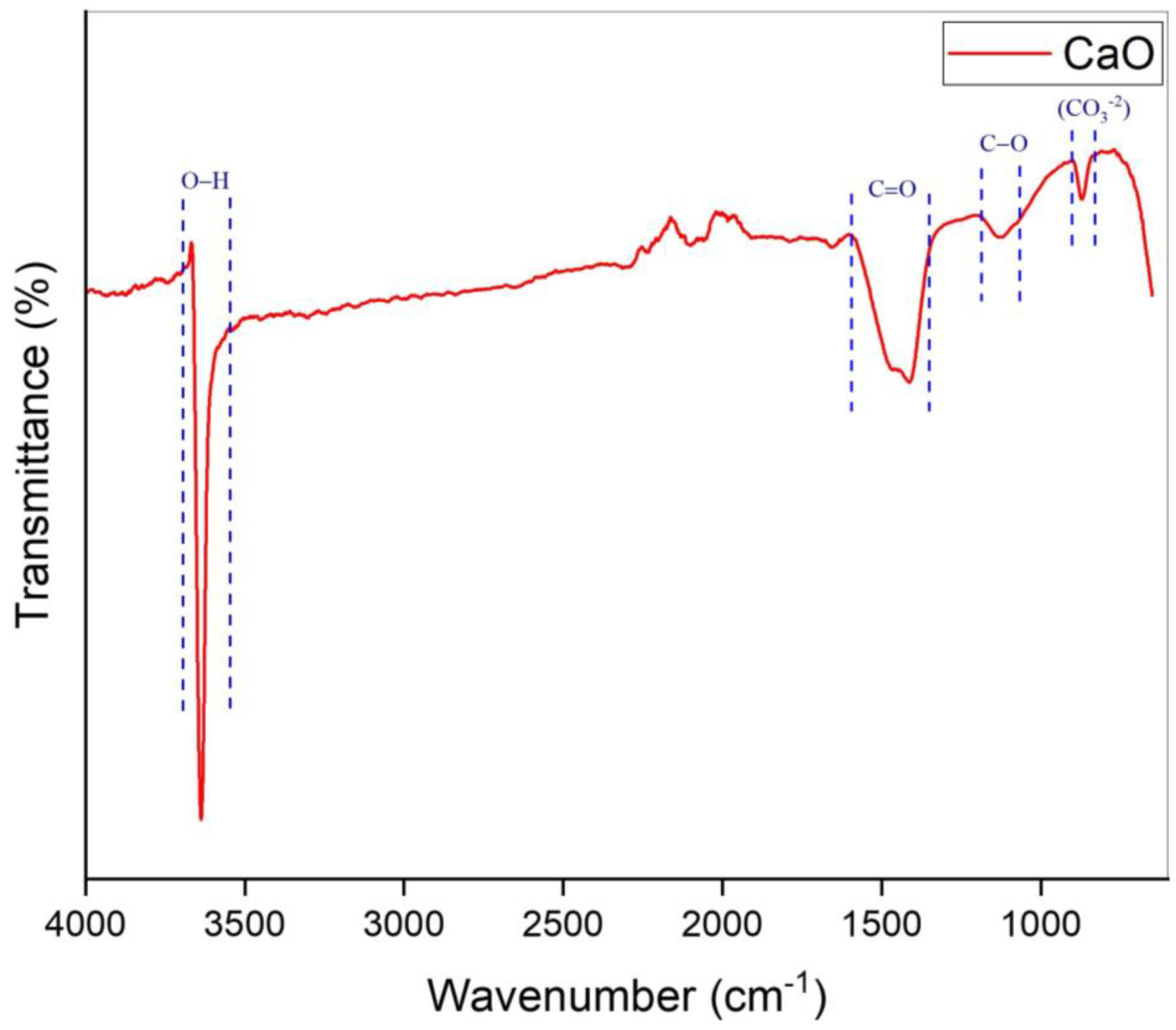 Catalysts 14 00655 g002