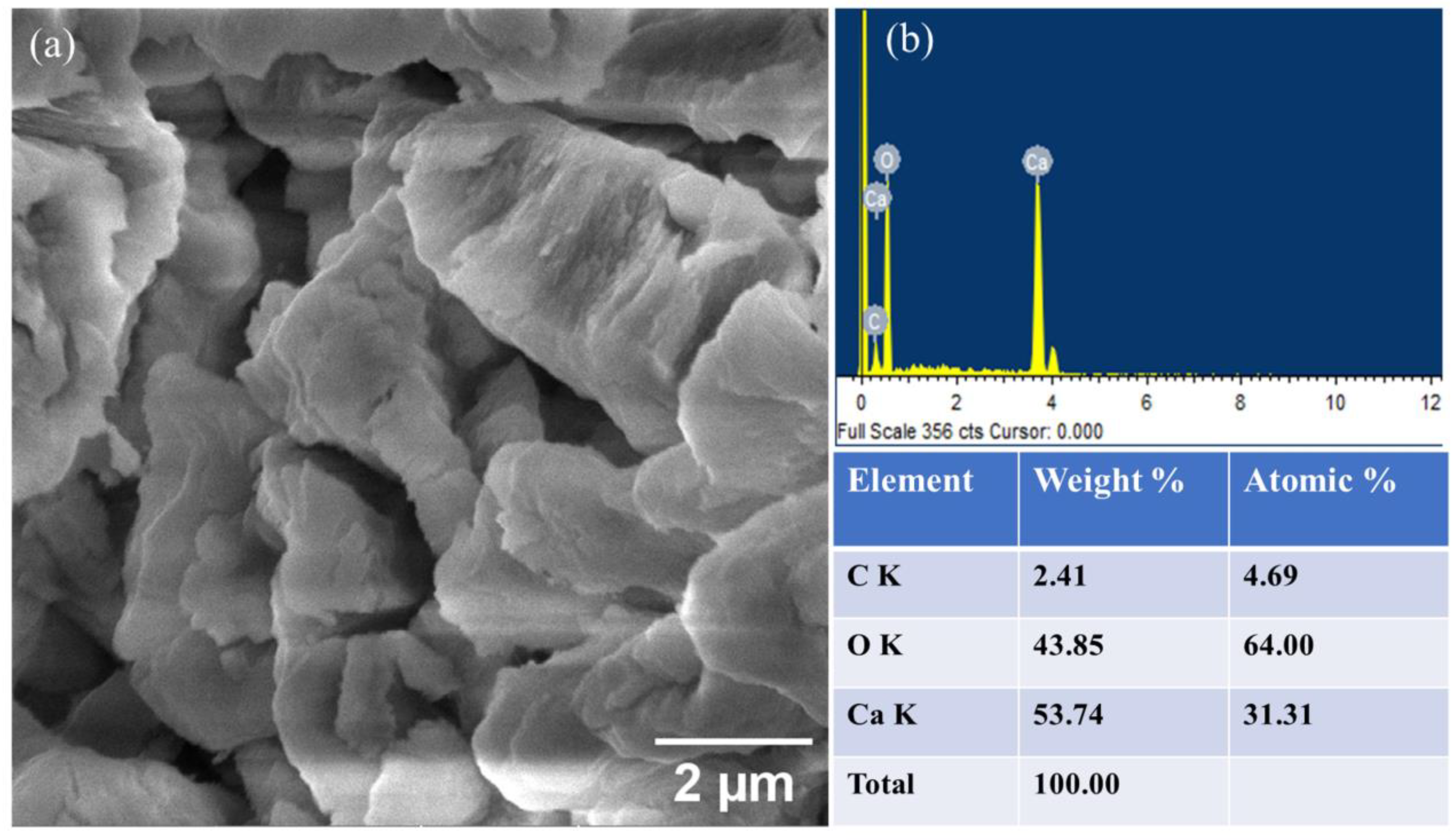 Catalysts 14 00655 g004