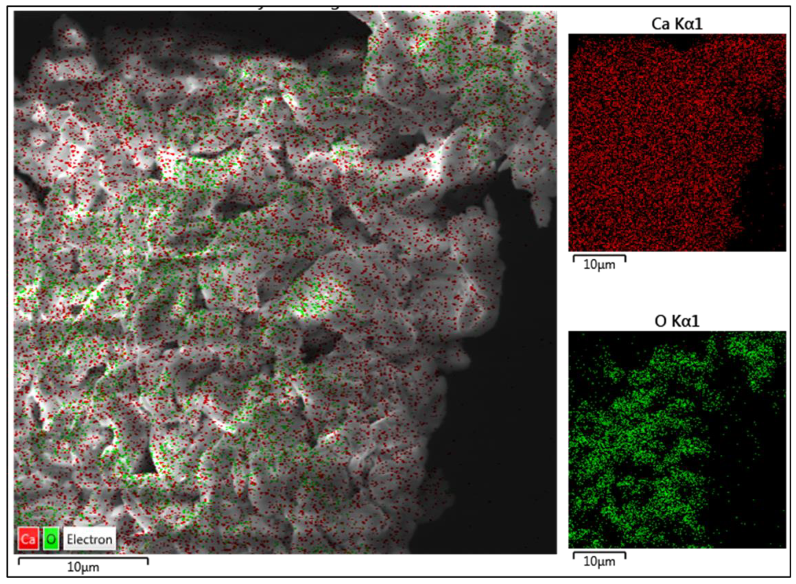Catalysts 14 00655 g005