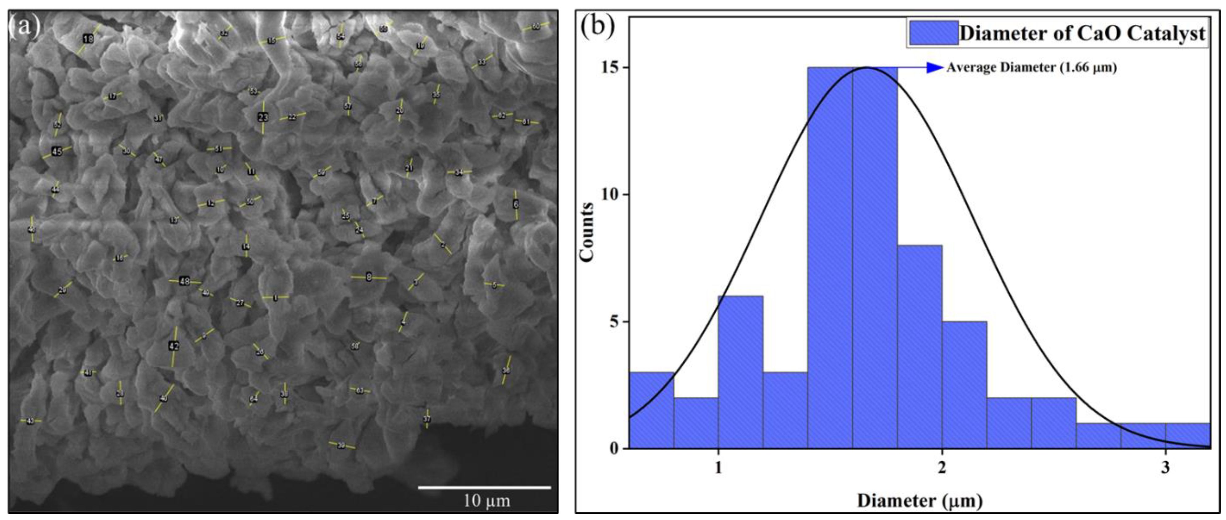 Catalysts 14 00655 g006