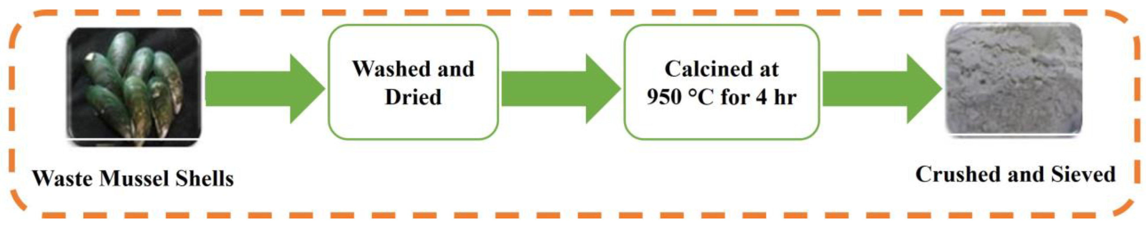 Catalysts 14 00655 g014