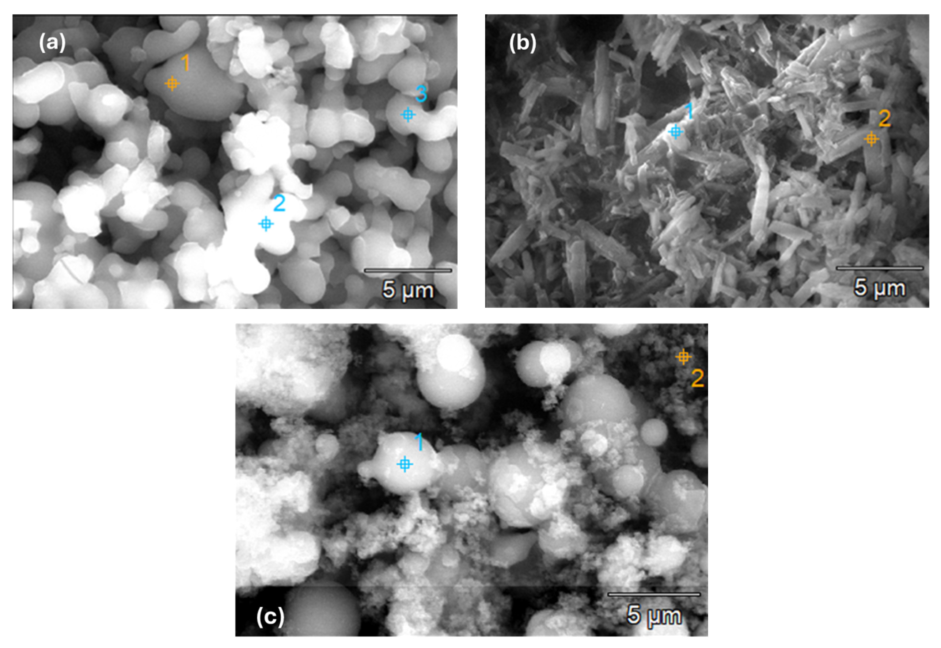 Catalysts 14 00661 g005