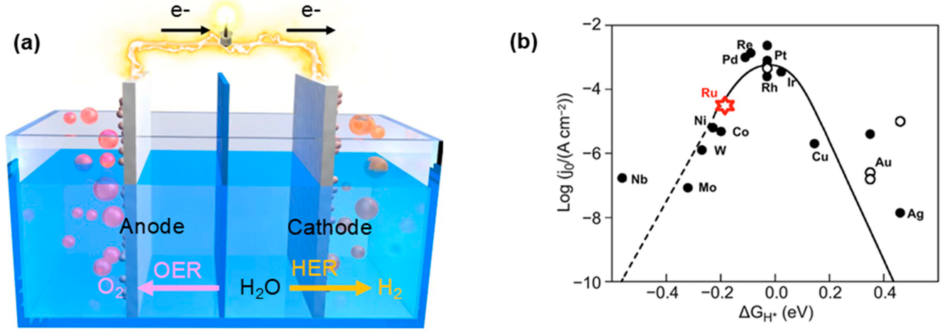 Catalysts 14 00671 g001