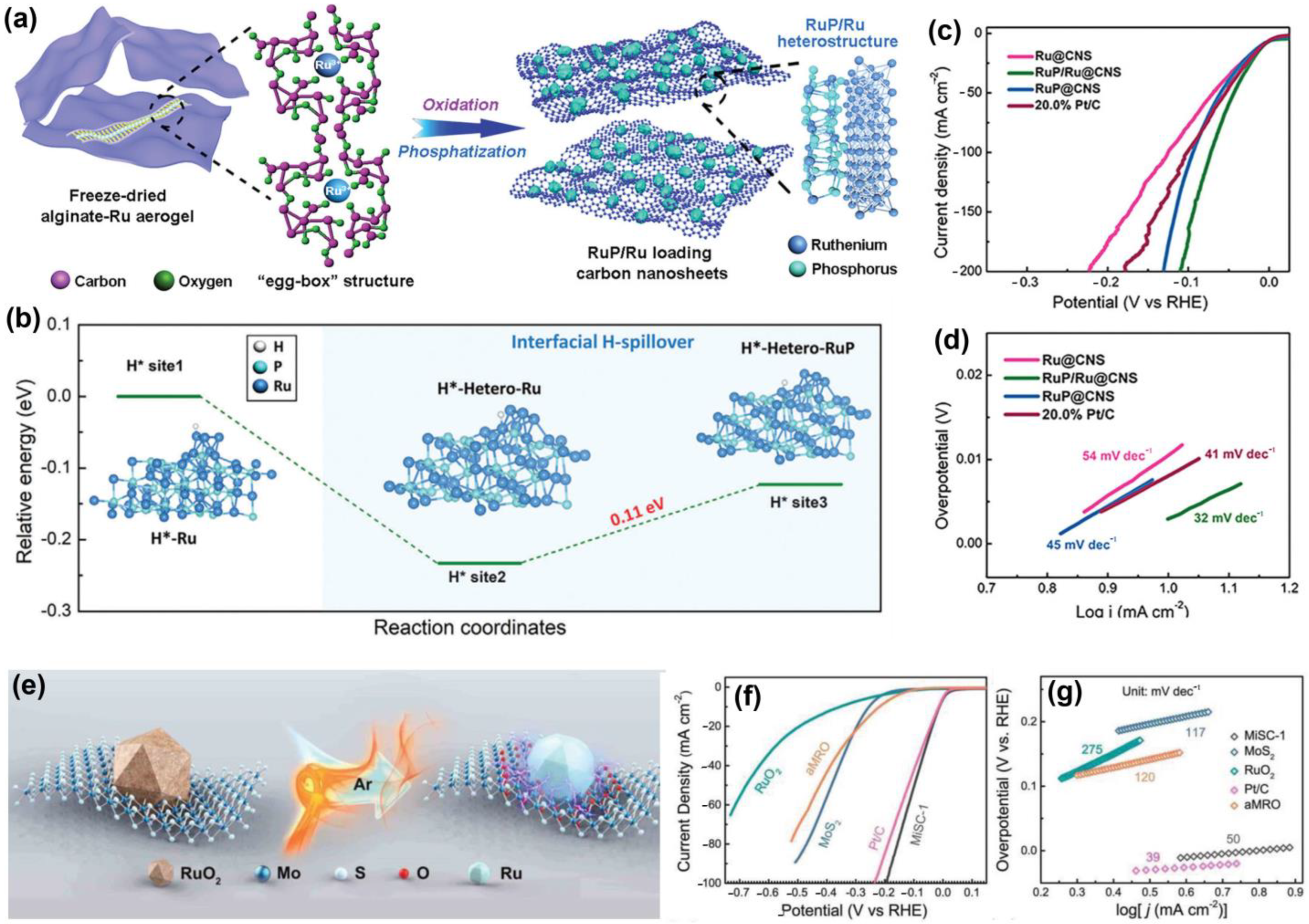 Catalysts 14 00671 g006